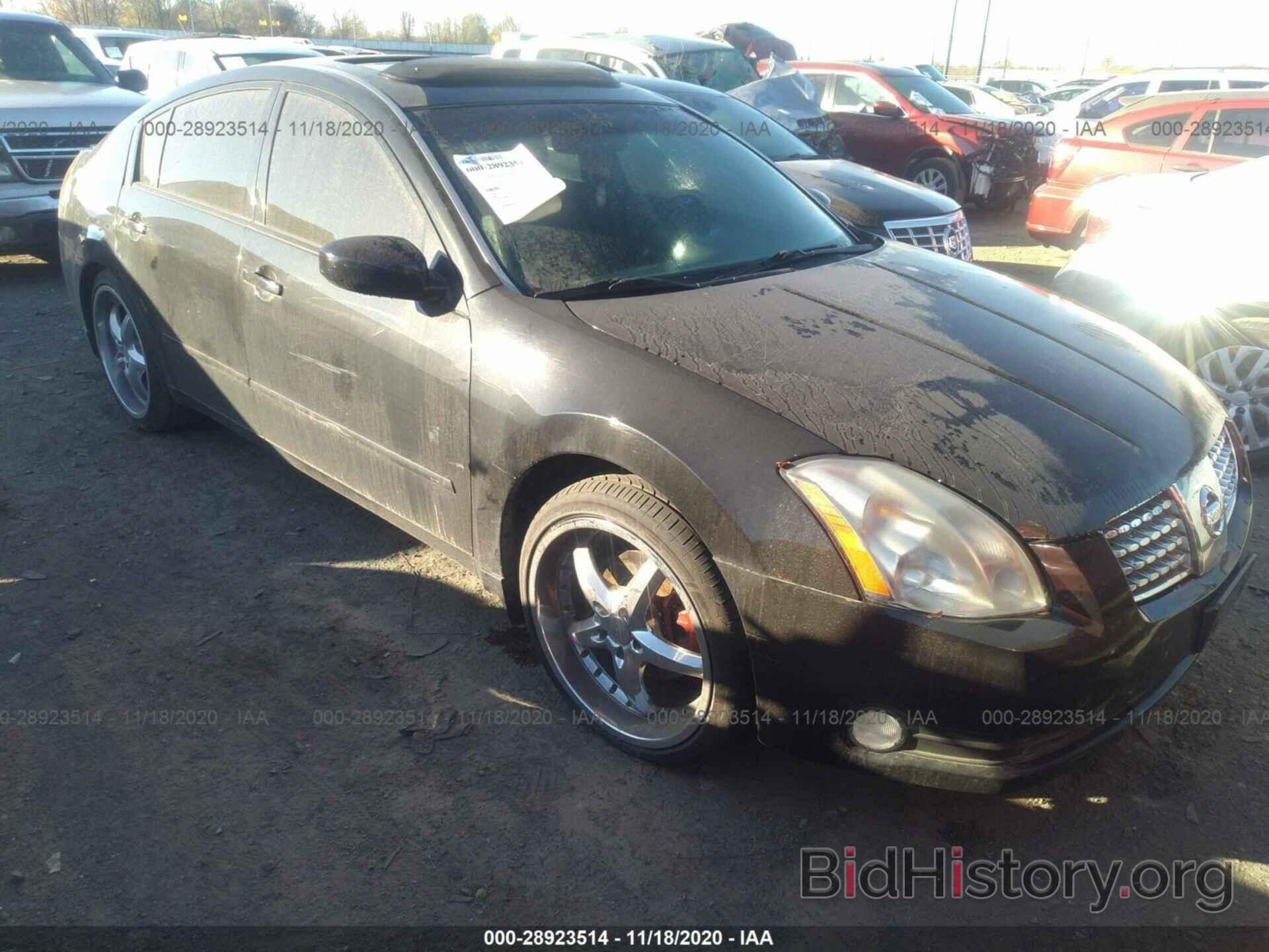 Photo 1N4BA41E44C874966 - NISSAN MAXIMA 2004