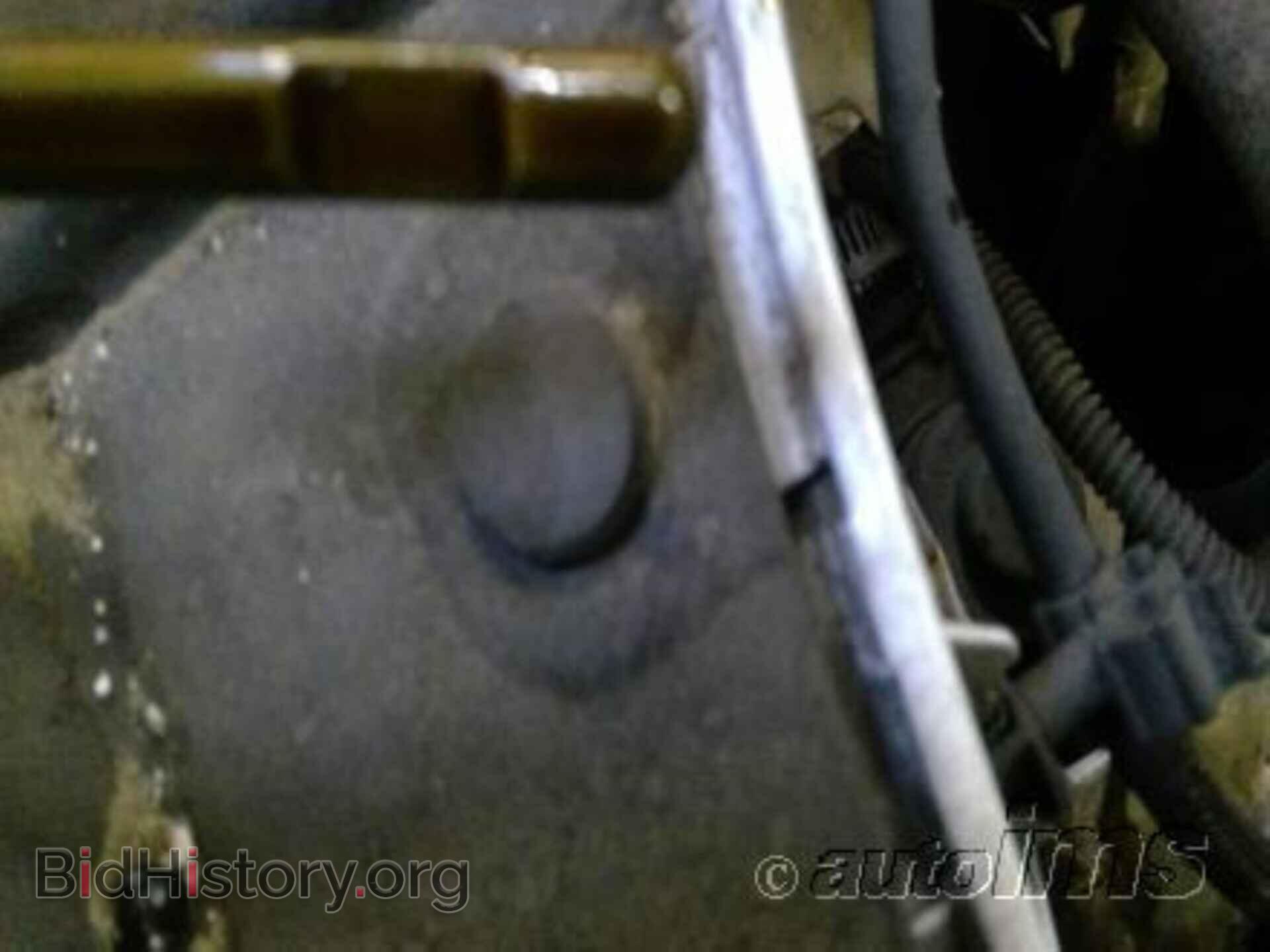 Photo 1FMCU0GX5DUC04498 - FORD ESCAPE 2013