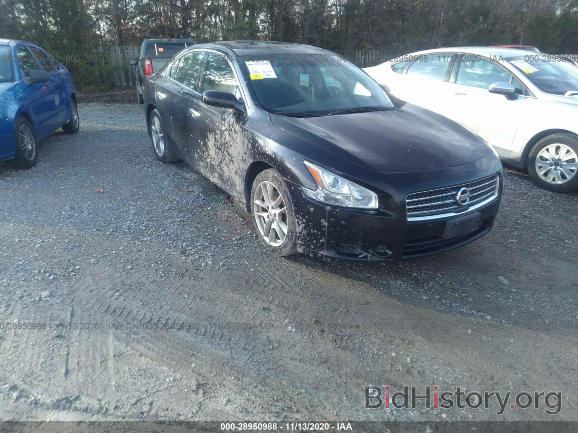 Фотография 1N4AA5AP2AC865116 - NISSAN MAXIMA 2010