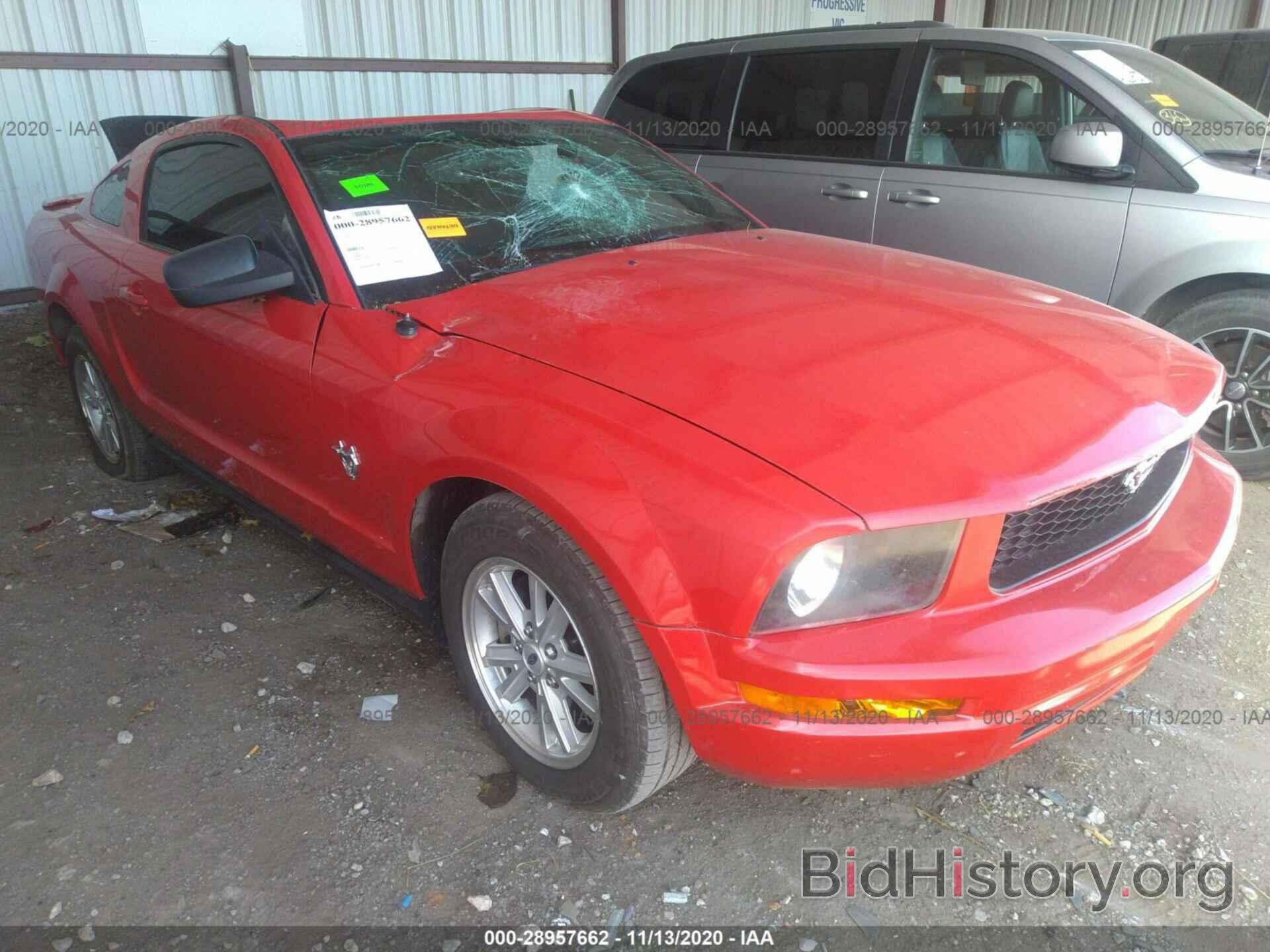Photo 1ZVHT80N395105794 - FORD MUSTANG 2009