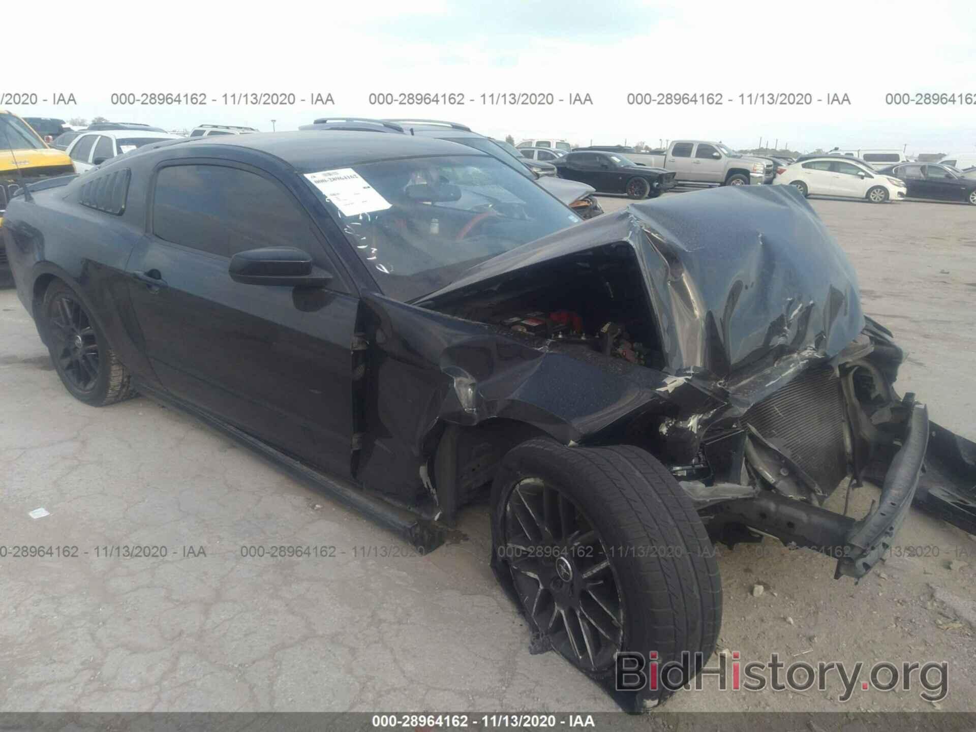 Photo 1ZVBP8AM6E5316210 - FORD MUSTANG 2014