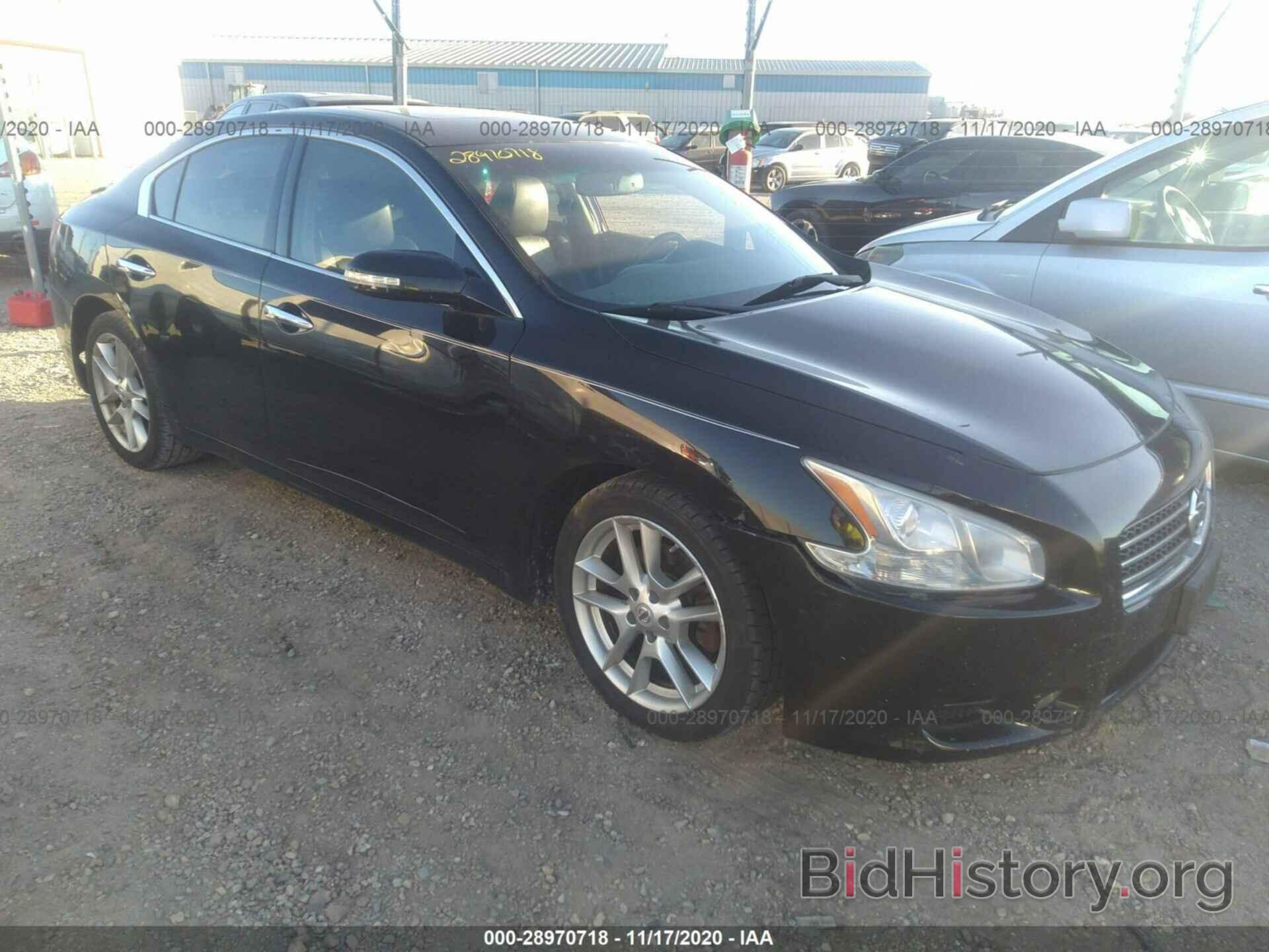 Photo 1N4AA5AP9AC852654 - NISSAN MAXIMA 2010