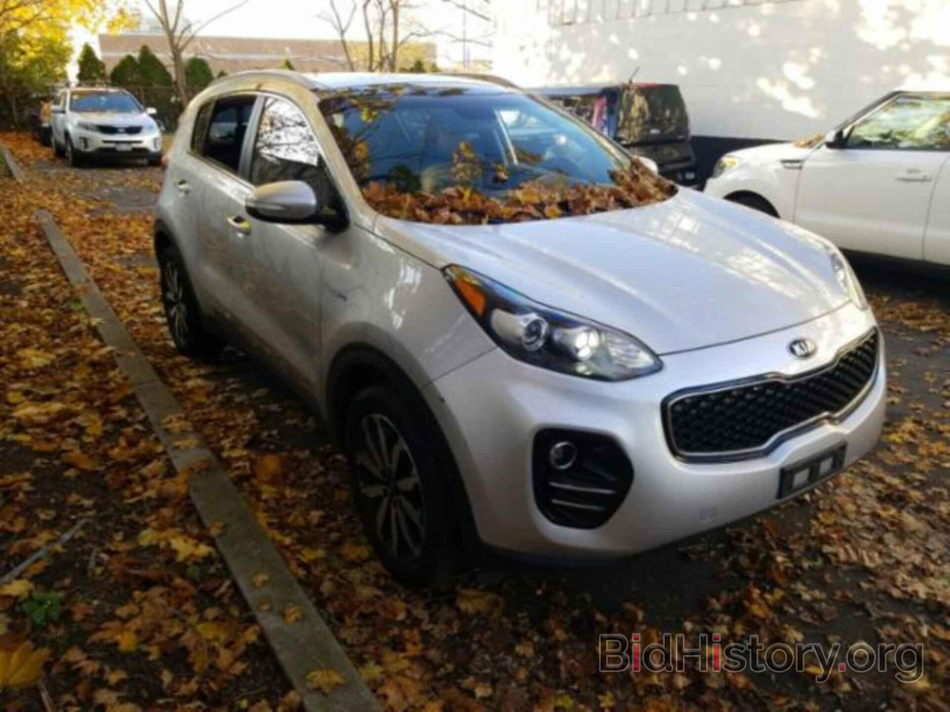 Фотография KNDPNCAC6H7296591 - KIA SPORTAGE 2017