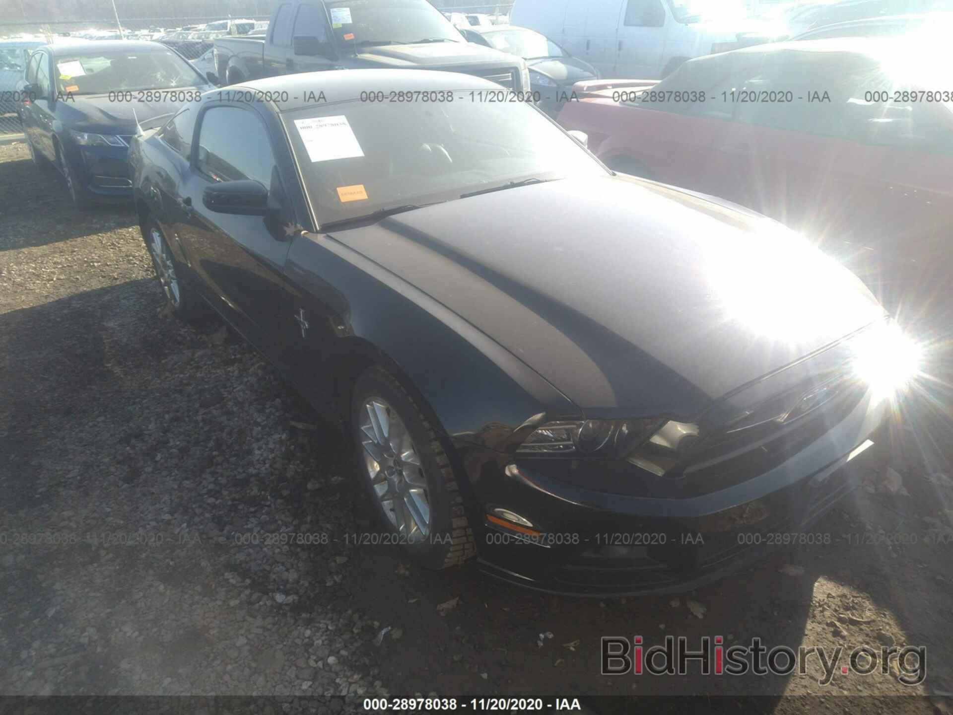 Photo 1ZVBP8AM7E5247690 - FORD MUSTANG 2014