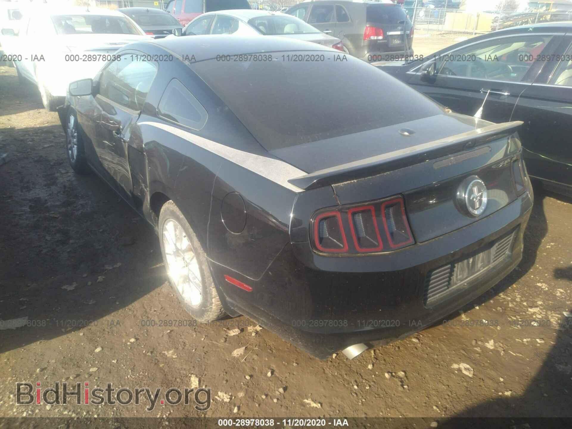 2014 FORD MUSTANG - VIN: 1ZVBP8AM7E5247690 - Фото 3