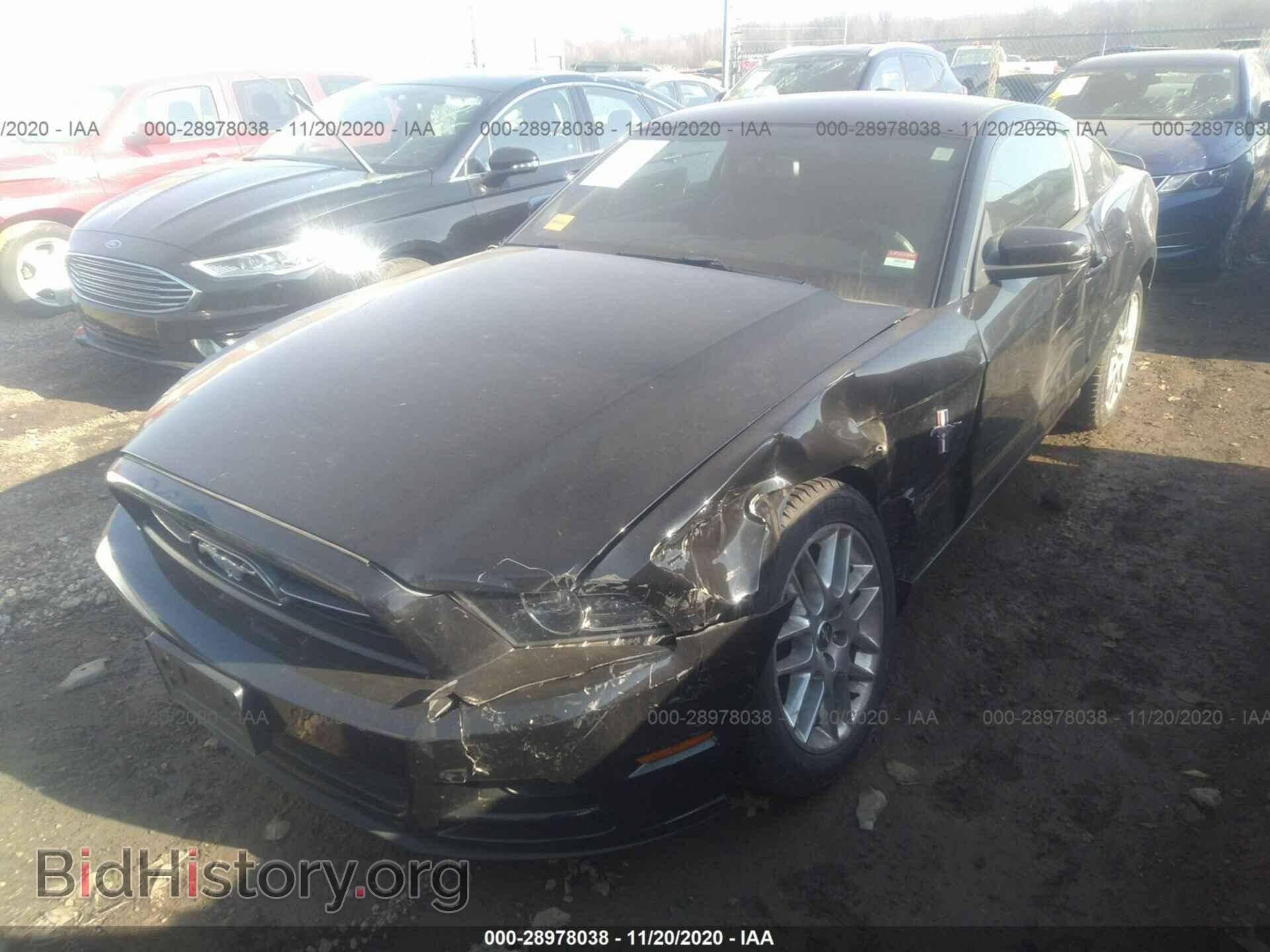 2014 FORD MUSTANG - VIN: 1ZVBP8AM7E5247690 - Фото 6