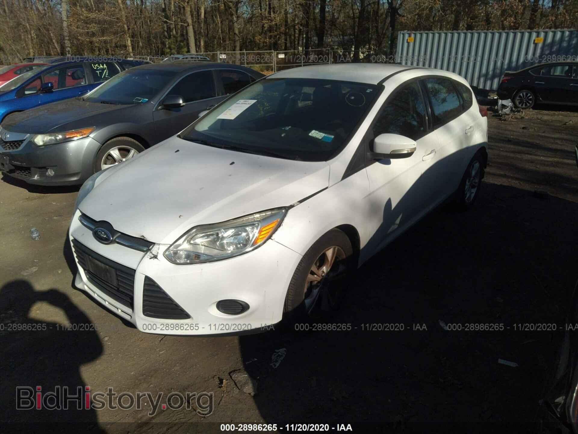 2013 FORD FOCUS - VIN: 1FADP3K25DL180194 - Фото 2