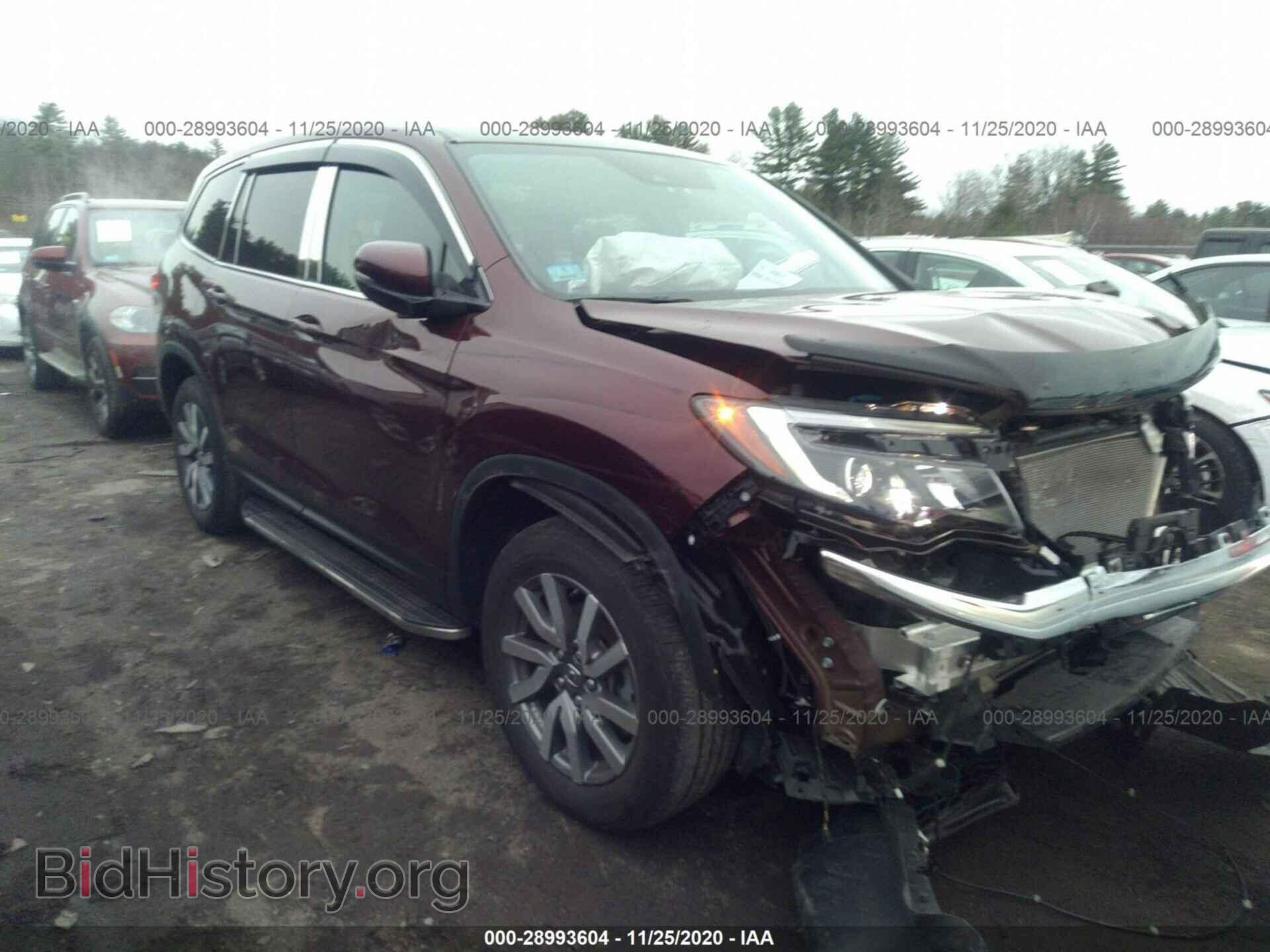 Фотография 5FNYF6H47KB028992 - HONDA PILOT 2019