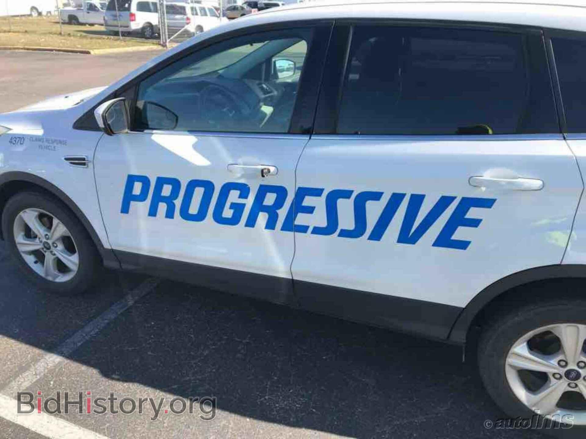 Photo 1FMCU0GX1DUC04370 - FORD ESCAPE 2013