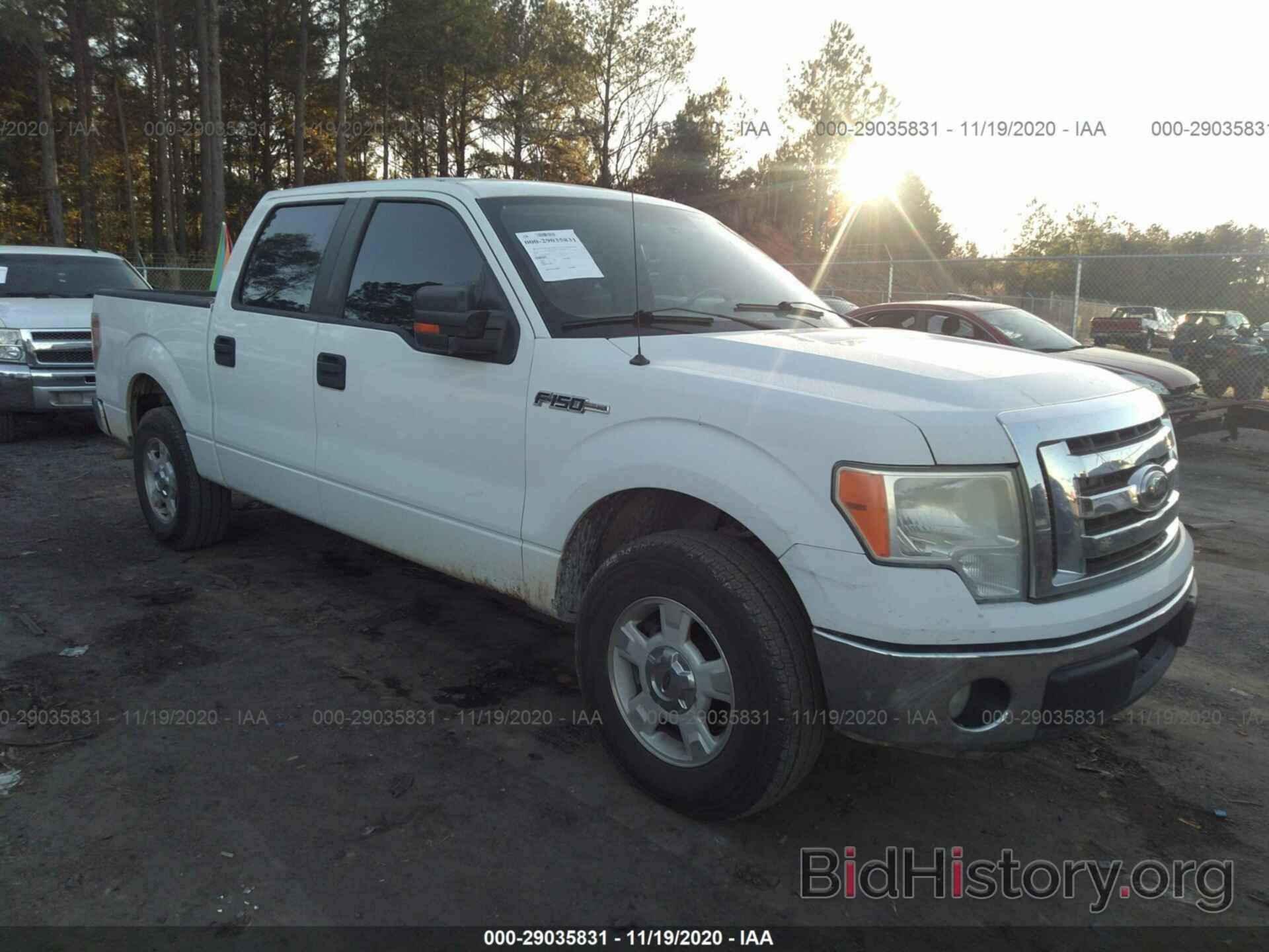 Photo 1FTPW12V69FA11039 - FORD F-150 2009