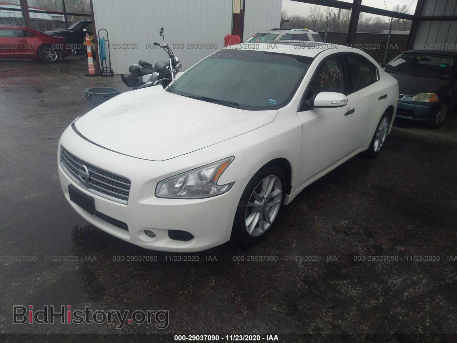 2010 NISSAN MAXIMA - VIN: 1N4AA5AP1AC846895 - Фото 2