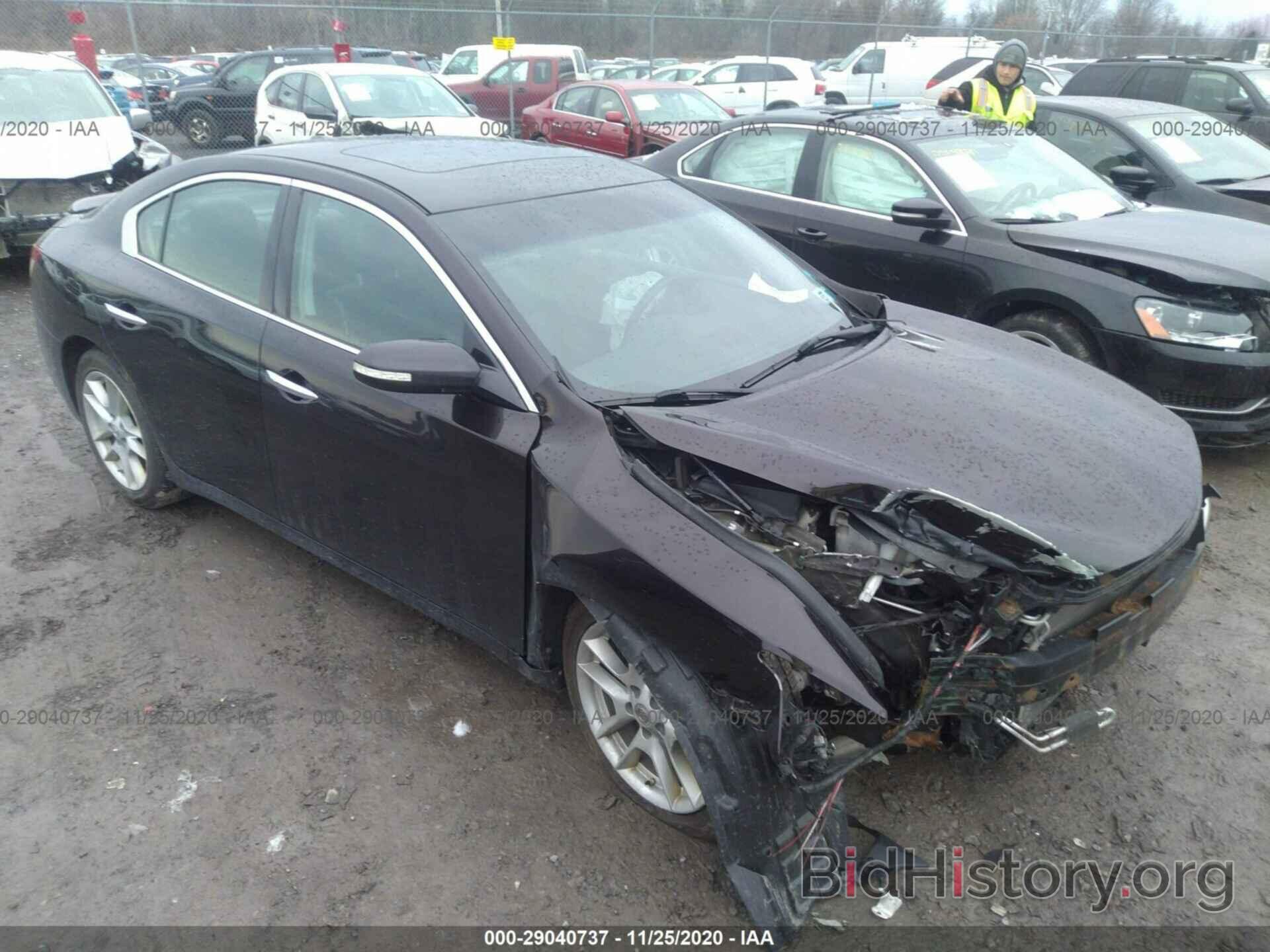 Photo 1N4AA5AP7AC857450 - NISSAN MAXIMA 2010