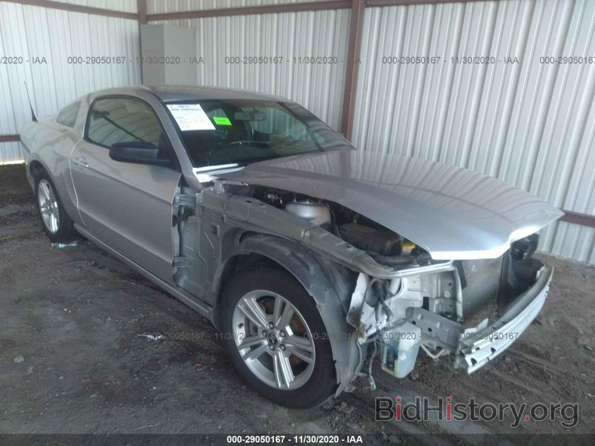 Photo 1ZVBP8AM6E5311220 - FORD MUSTANG 2014
