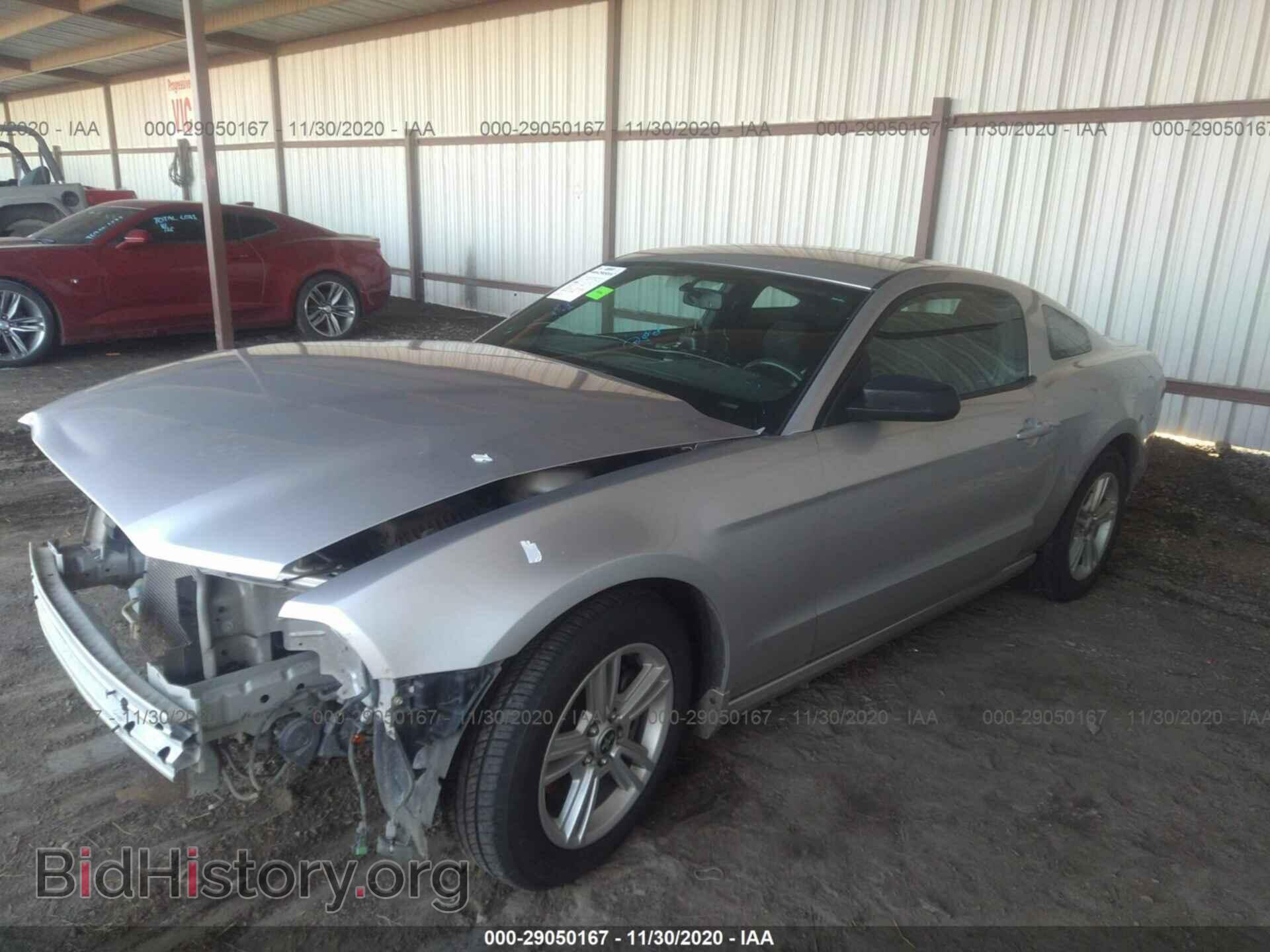 2014 FORD MUSTANG - VIN: 1ZVBP8AM6E5311220 - Фото 2