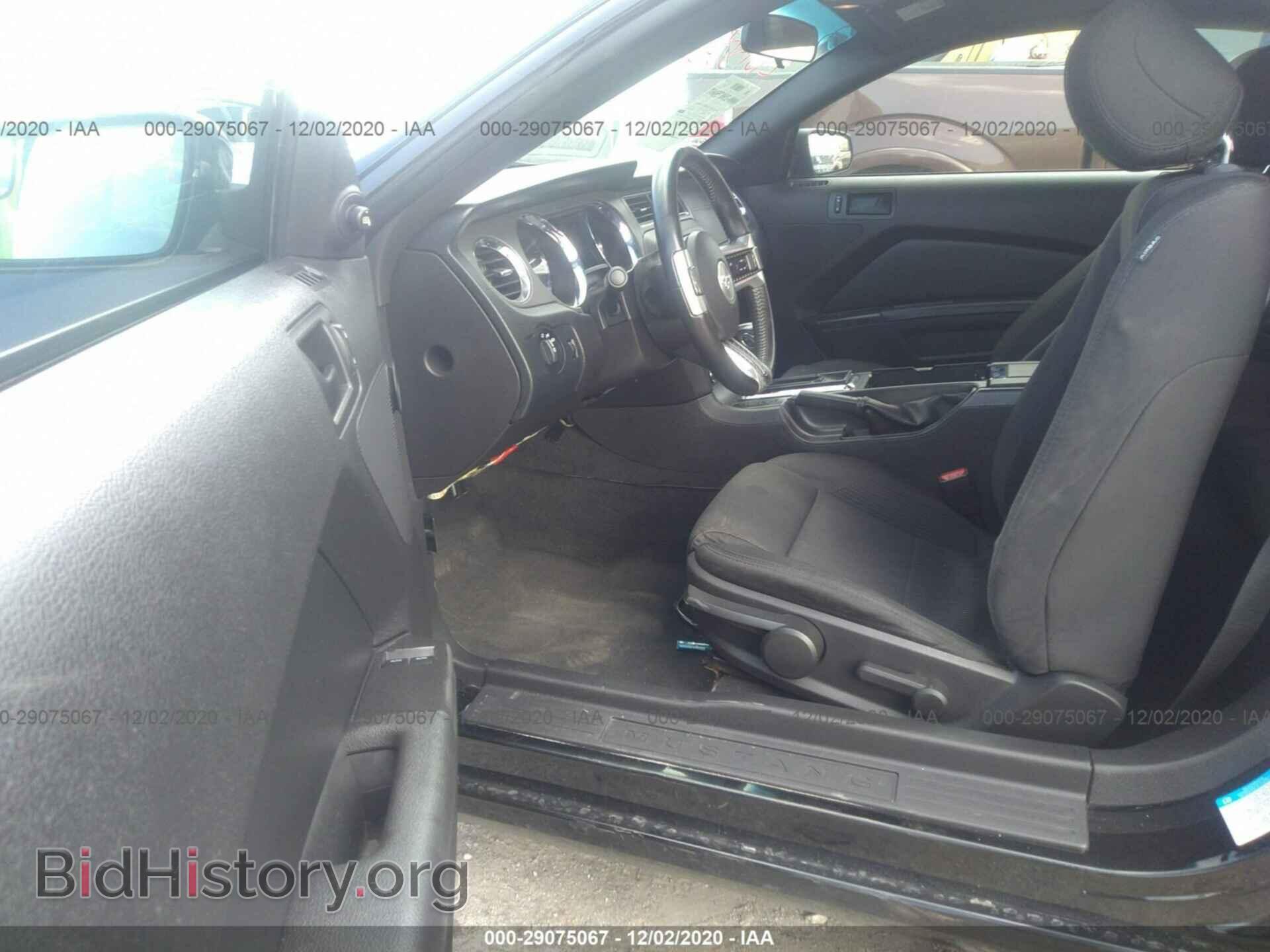 2013 FORD MUSTANG - VIN: 1ZVBP8AM5D5249470 - Фото 5