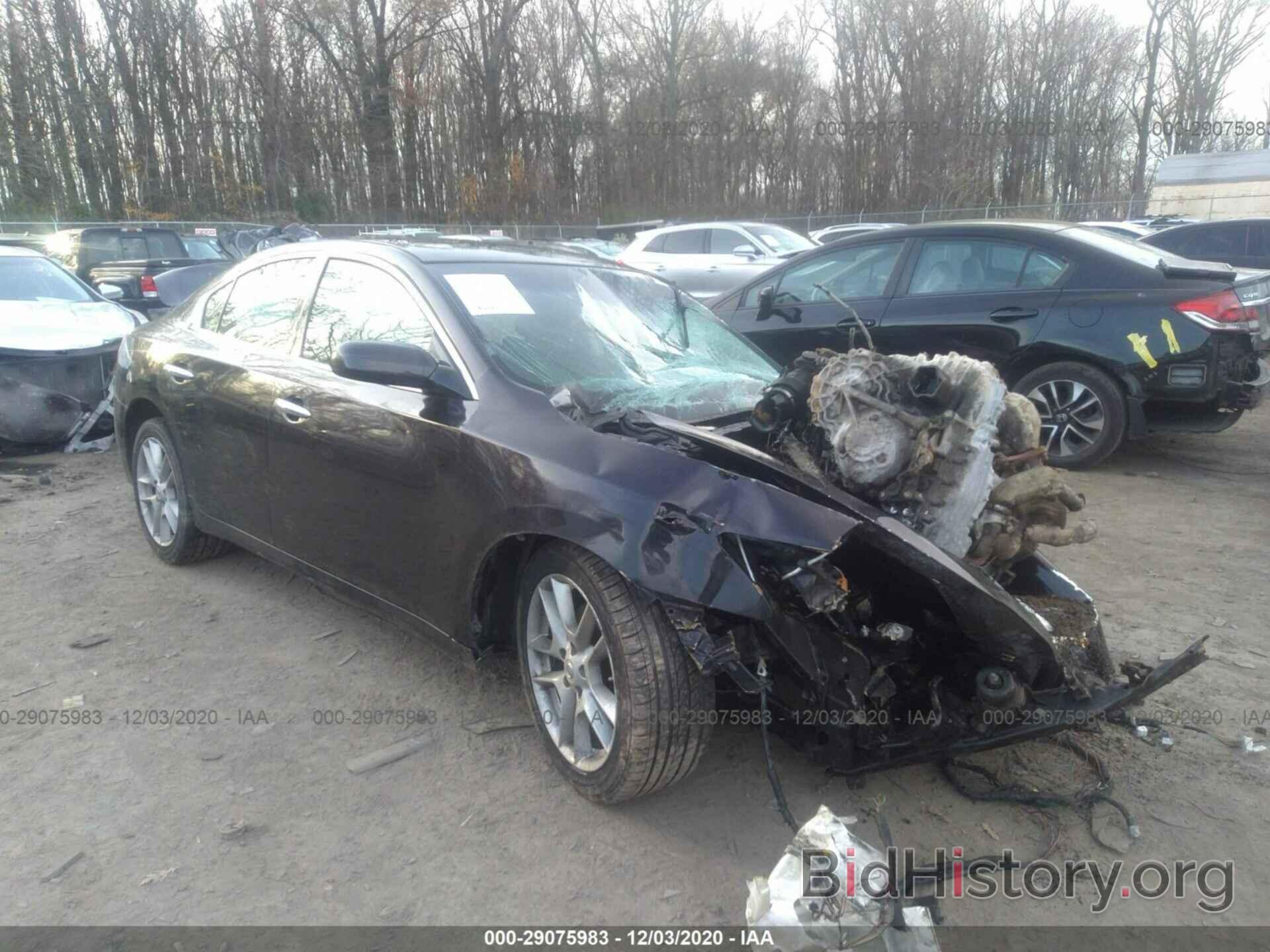 Photo 1N4AA5AP4BC807445 - NISSAN MAXIMA 2011