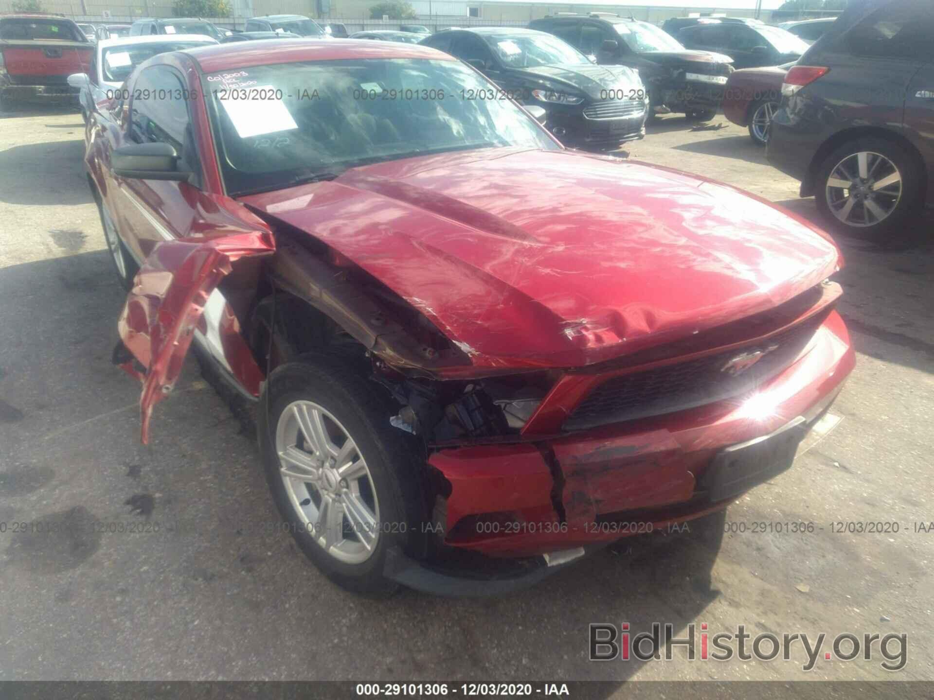 Photo 1ZVBP8AM4B5153729 - FORD MUSTANG 2011