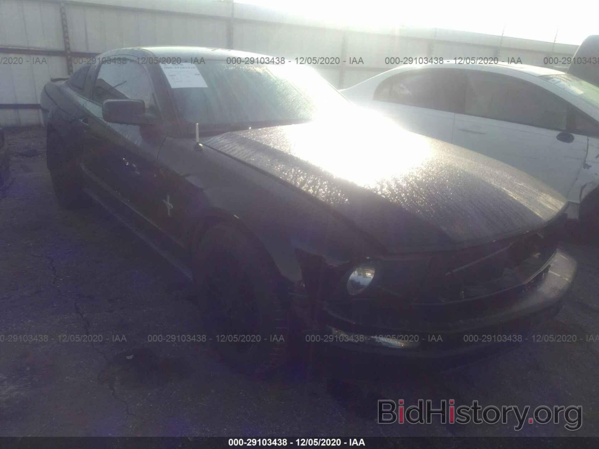 Photo 1ZVHT80N475352528 - FORD MUSTANG 2007