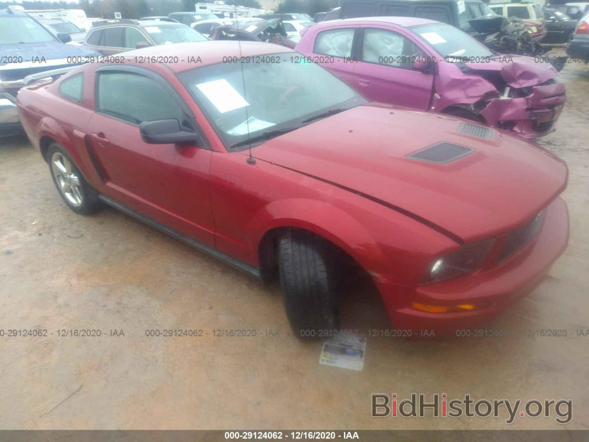 Photo 1ZVHT80N685192251 - FORD MUSTANG 2008