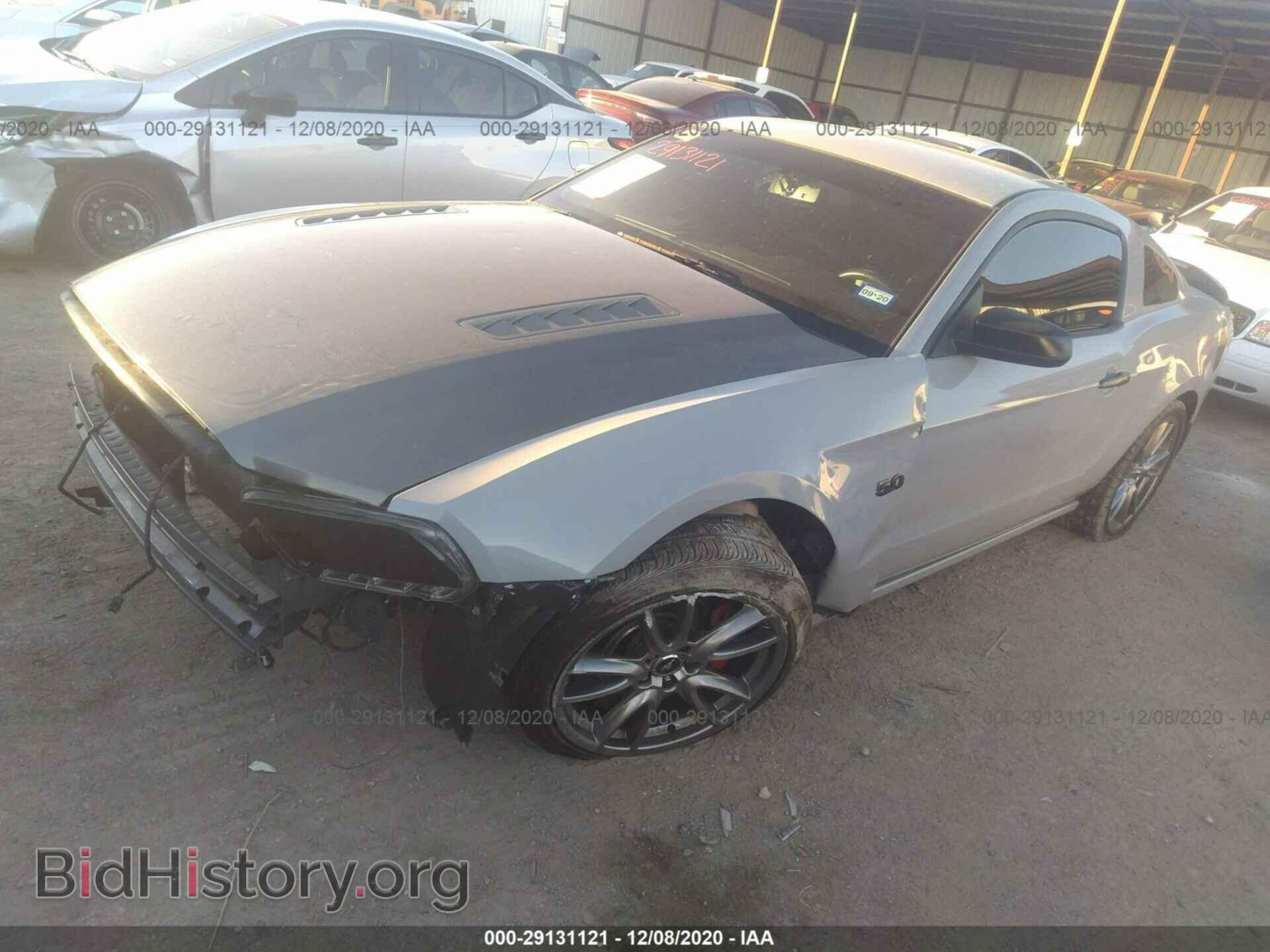 2013 FORD MUSTANG - VIN: 1ZVBP8CF3D5211654 - Фото 2