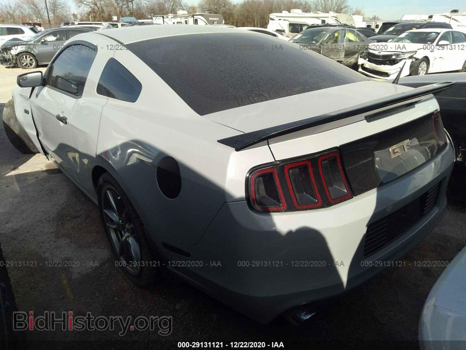 2013 FORD MUSTANG - VIN: 1ZVBP8CF3D5211654 - Фото 3