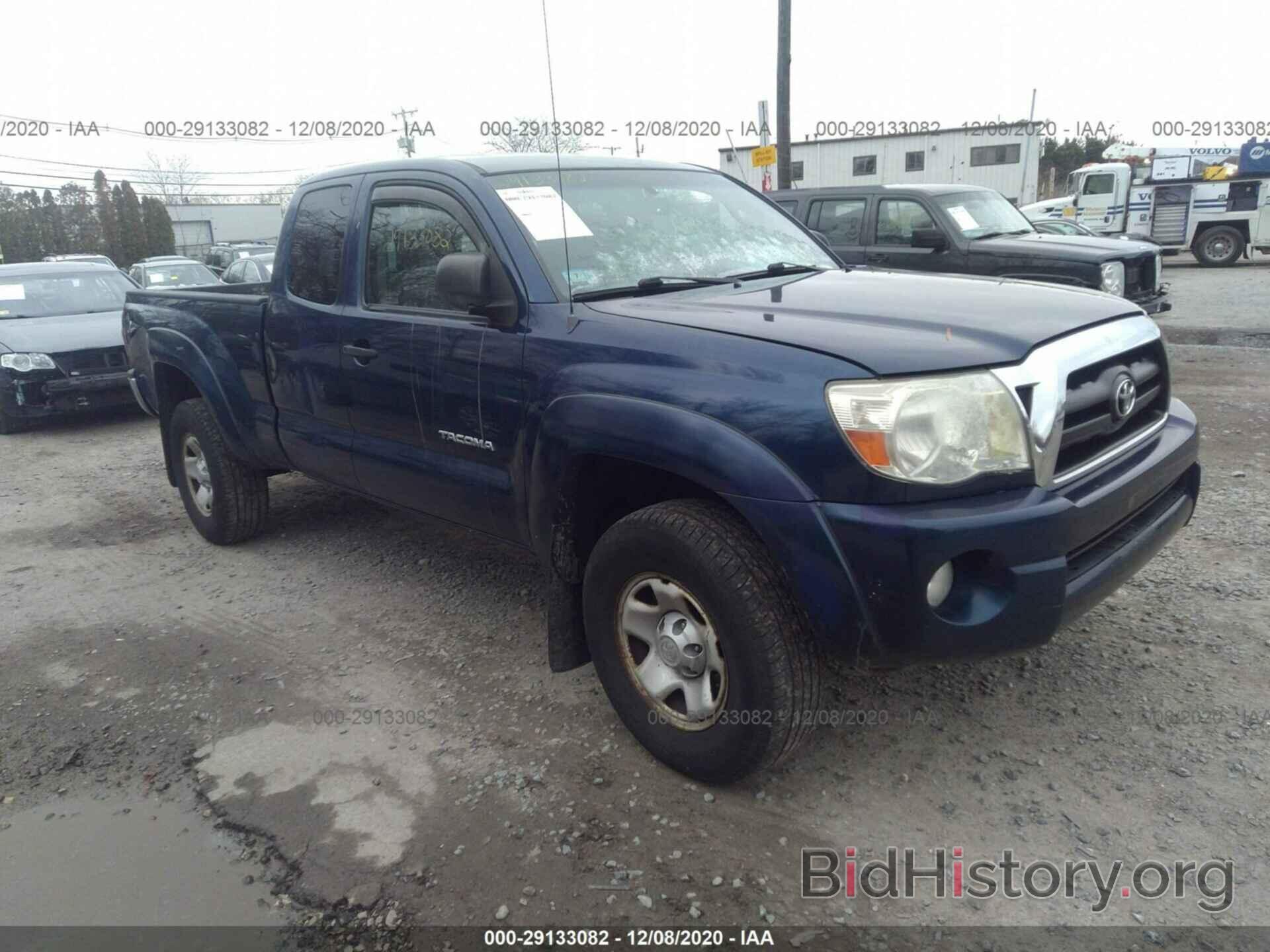 Photo 5TEUU42N38Z582063 - TOYOTA TACOMA 2008