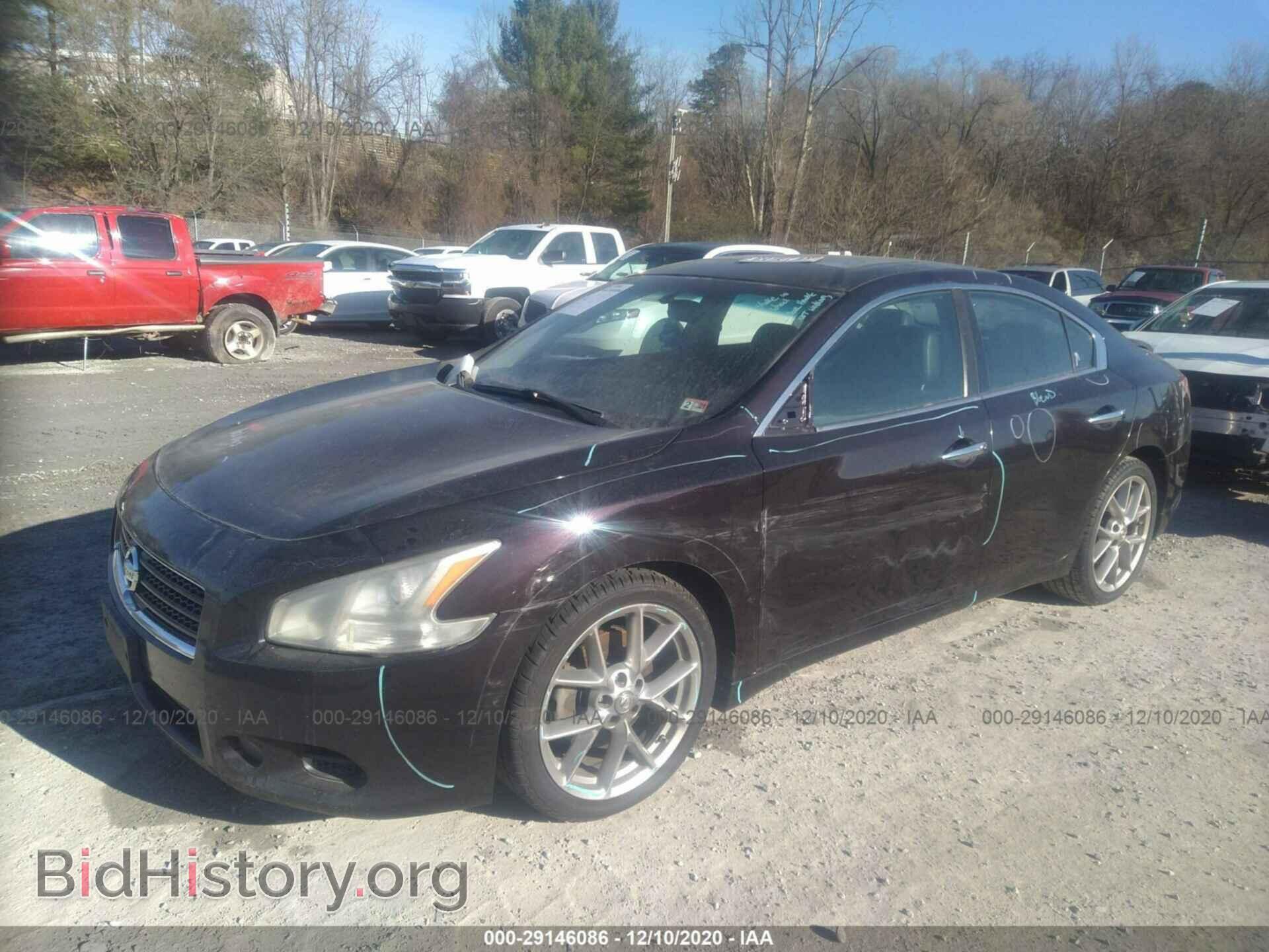 2011 NISSAN MAXIMA - VIN: 1N4AA5AP1BC849281 - Фото 2