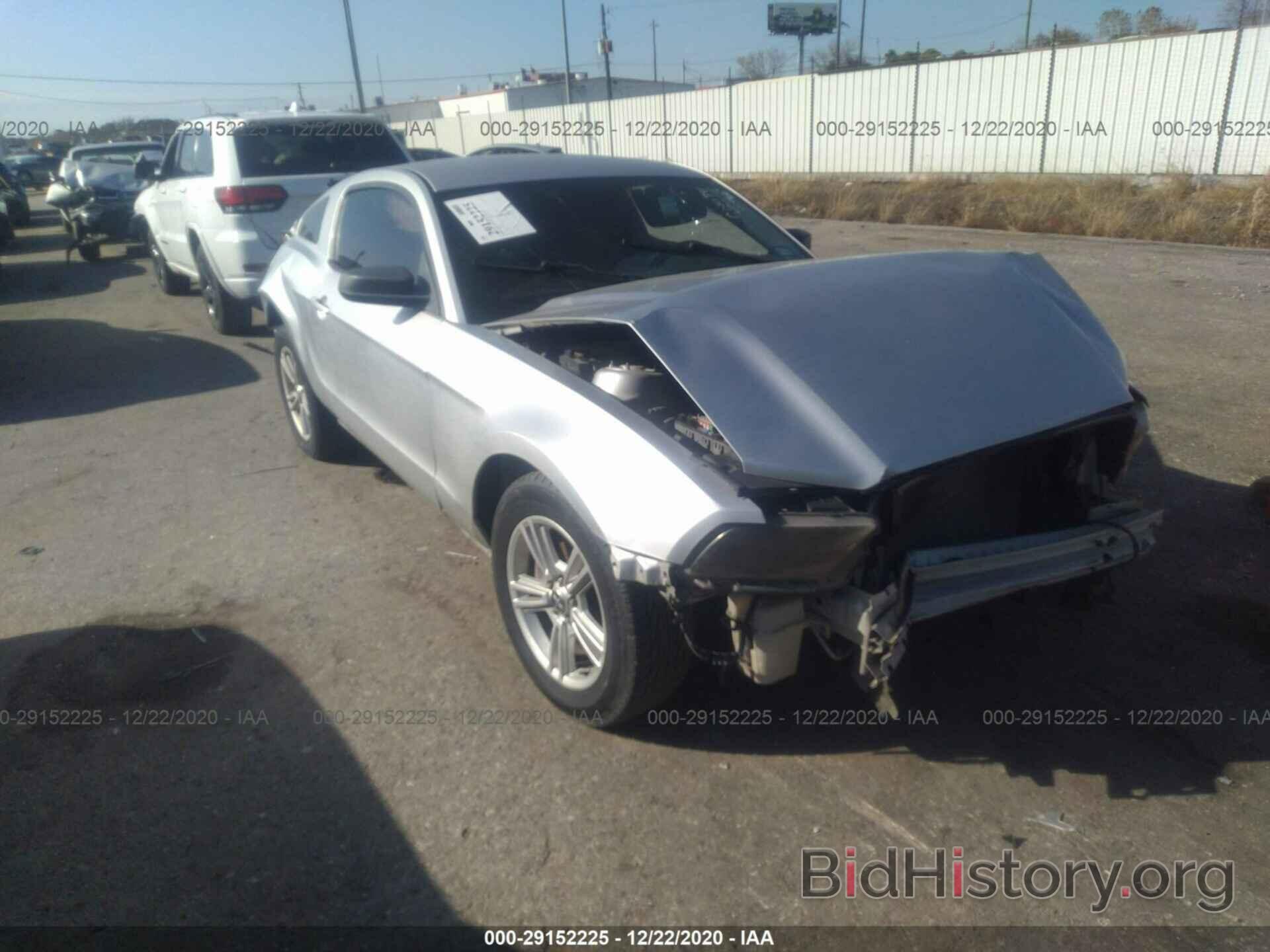 Photo 1ZVBP8AM3E5268228 - FORD MUSTANG 2014