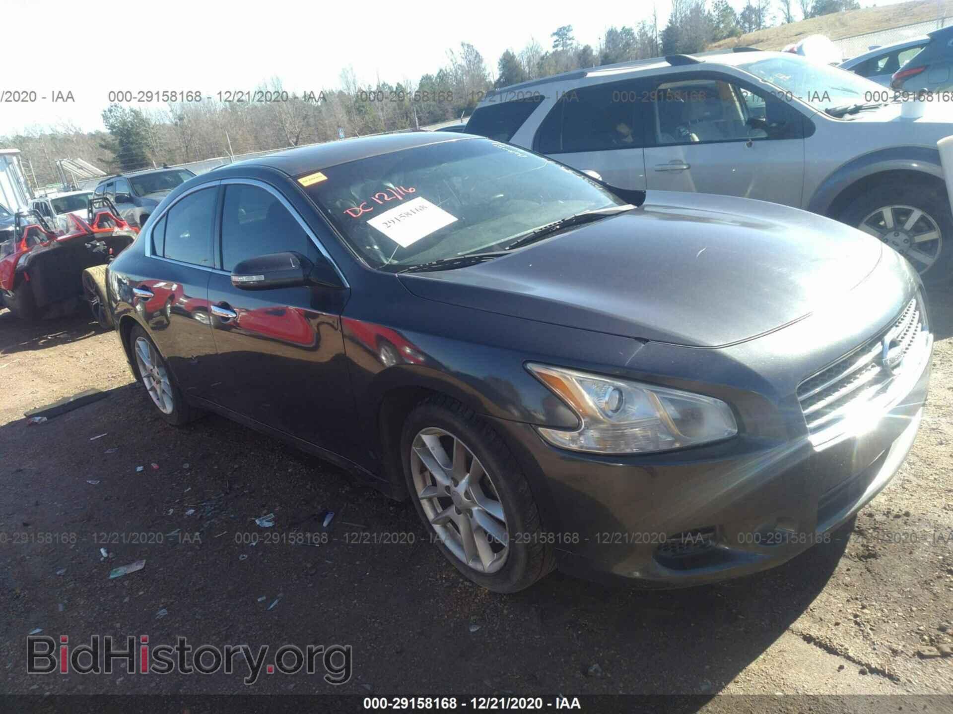 Фотография 1N4AA5AP8BC825558 - NISSAN MAXIMA 2011