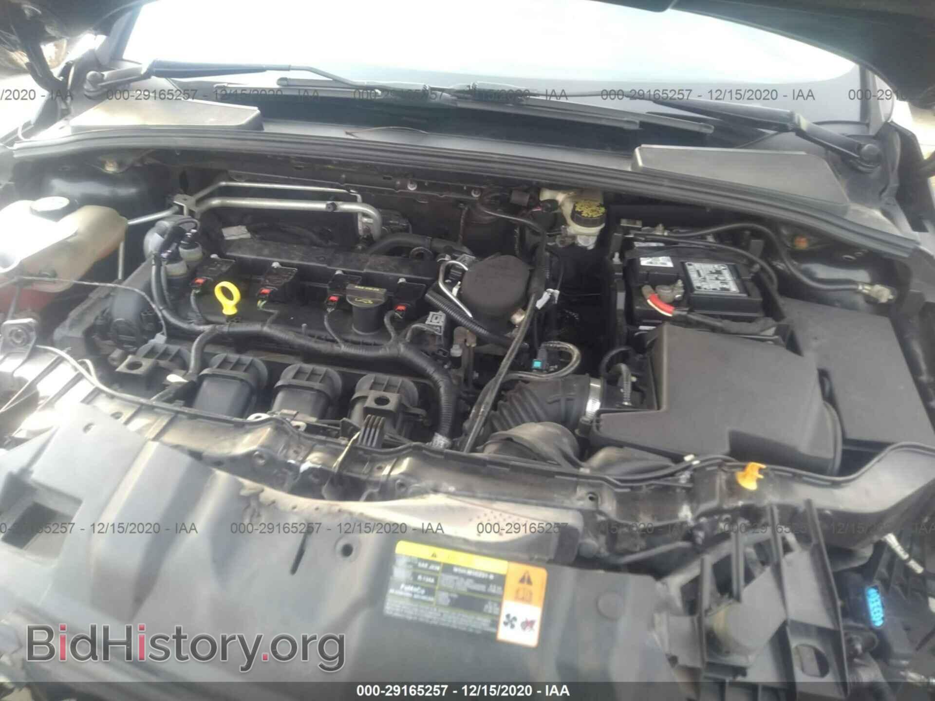 2013 FORD FOCUS - VIN: 1FADP3K24DL117524 - Фото 10