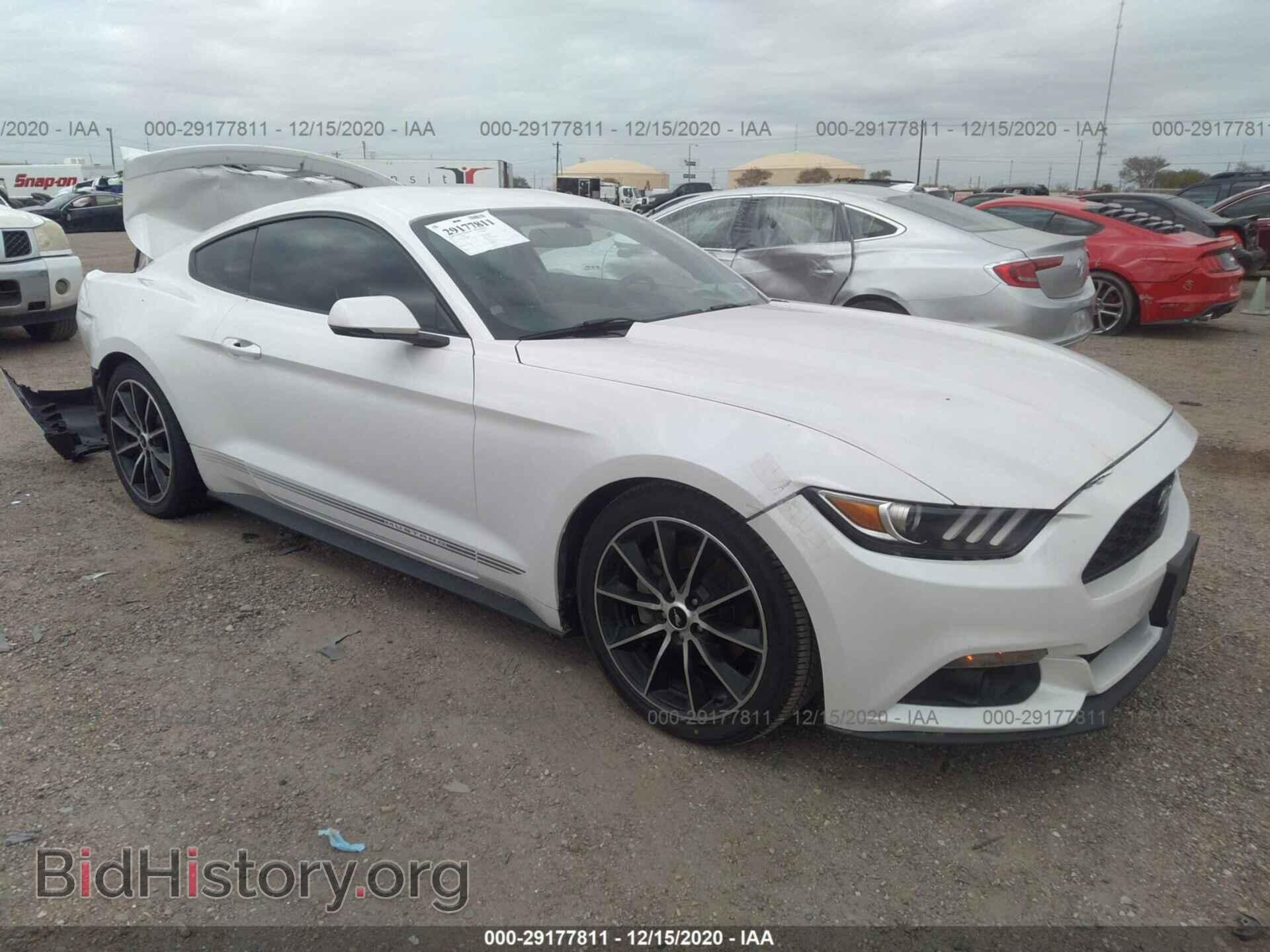 Фотография 1FA6P8TH7H5226806 - FORD MUSTANG 2017