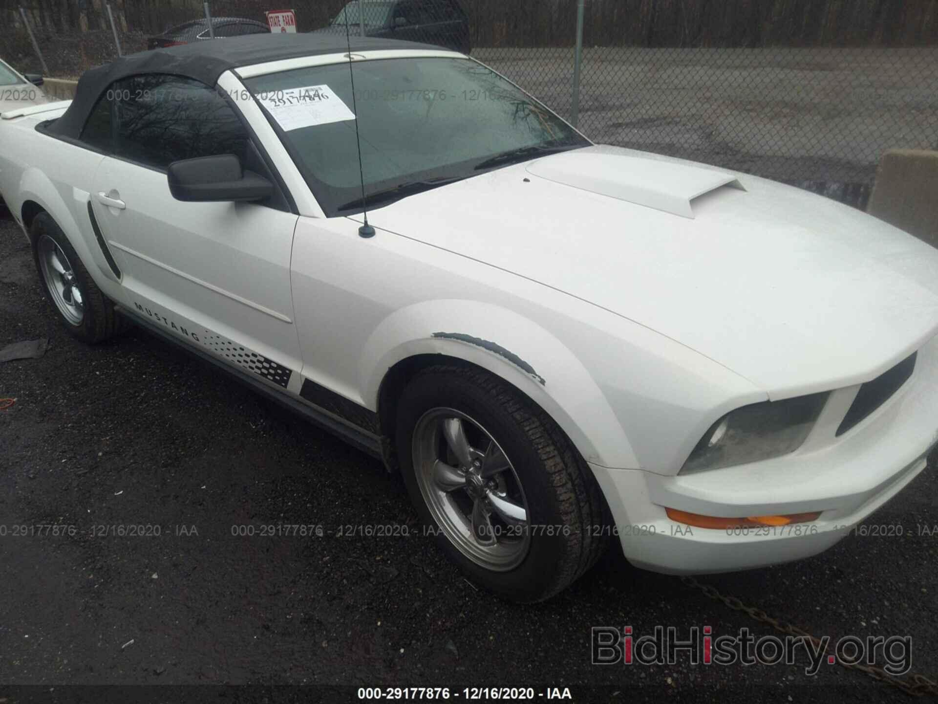 Photo 1ZVFT84N175260939 - FORD MUSTANG 2007