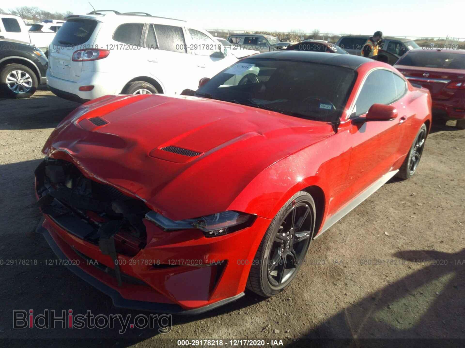 2019 FORD MUSTANG - VIN: 1FA6P8TH3K5203384 - Фото 2