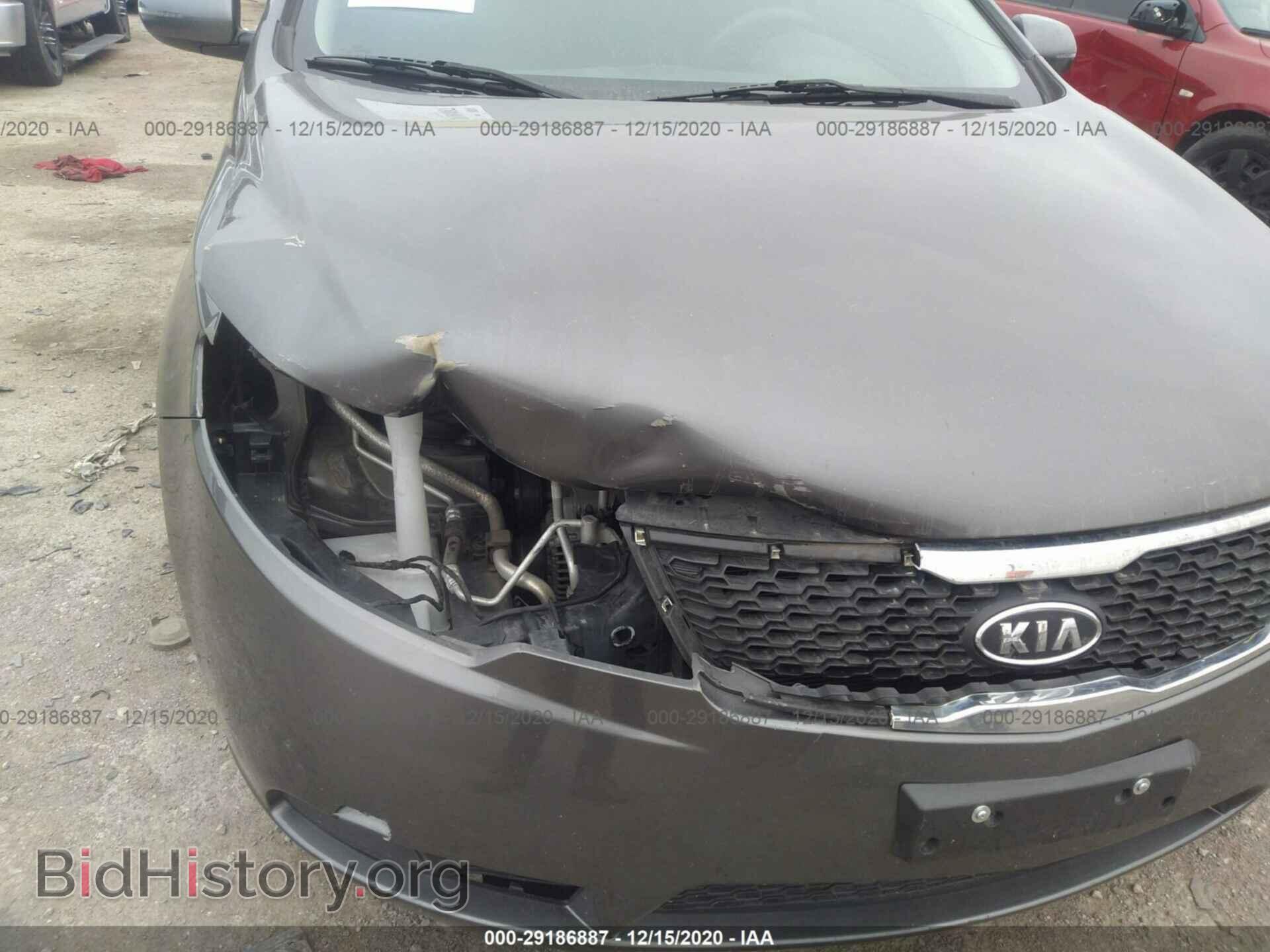 2013 KIA FORTE - VIN: KNAFU4A21D5696816 - Фото 6