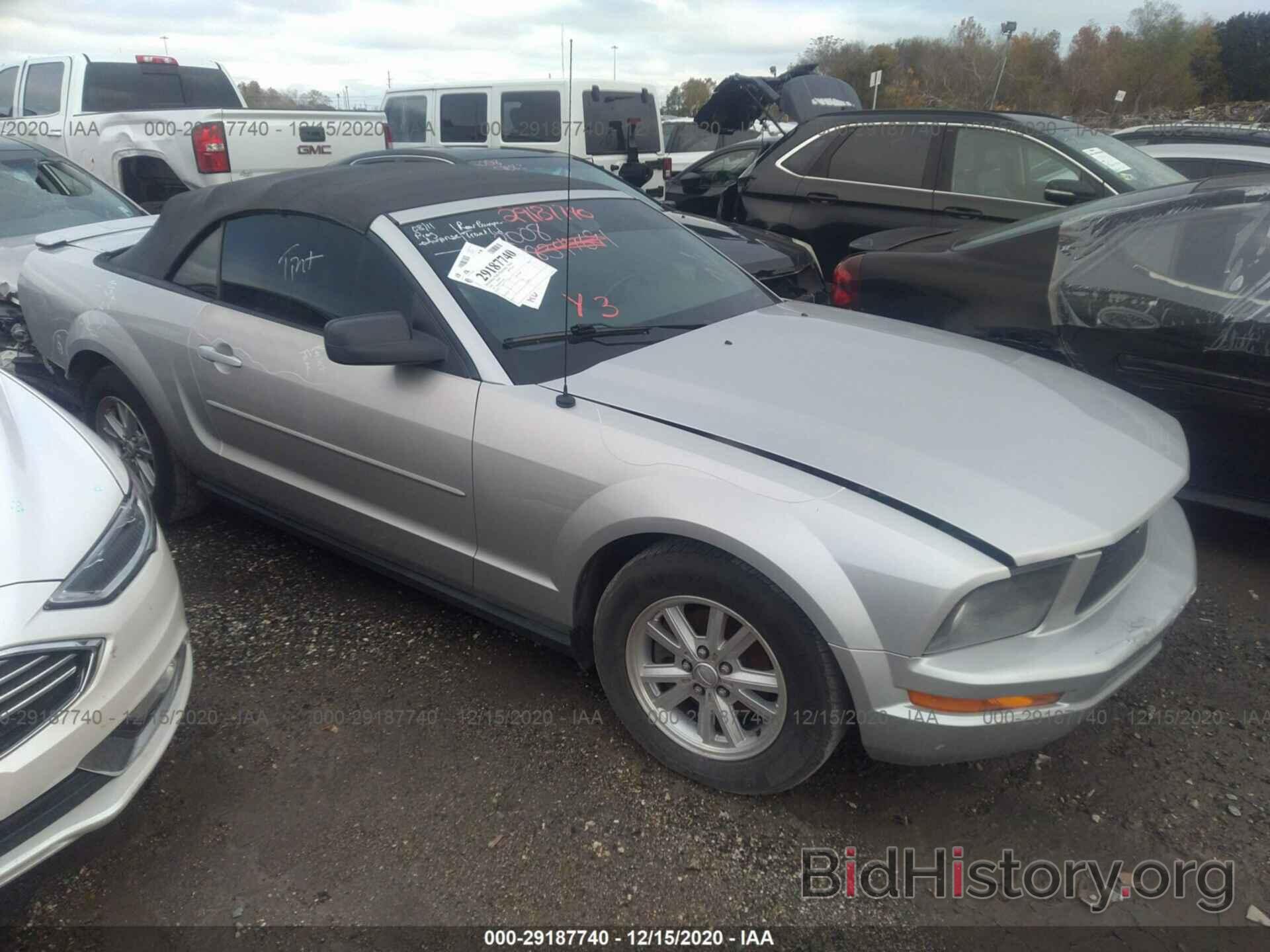 Photo 1ZVHT84N785136054 - FORD MUSTANG 2008