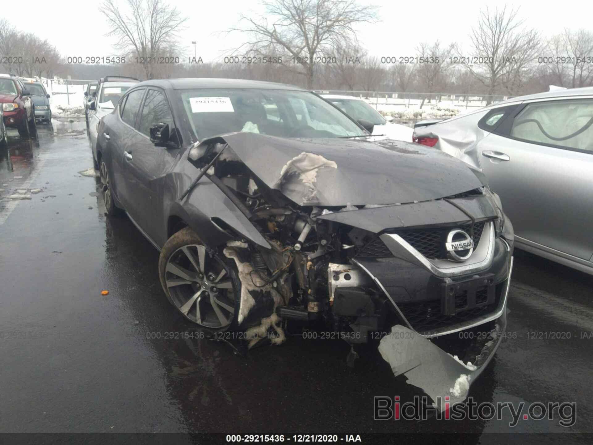 Photo 1N4AA6AP3HC433571 - NISSAN MAXIMA 2017