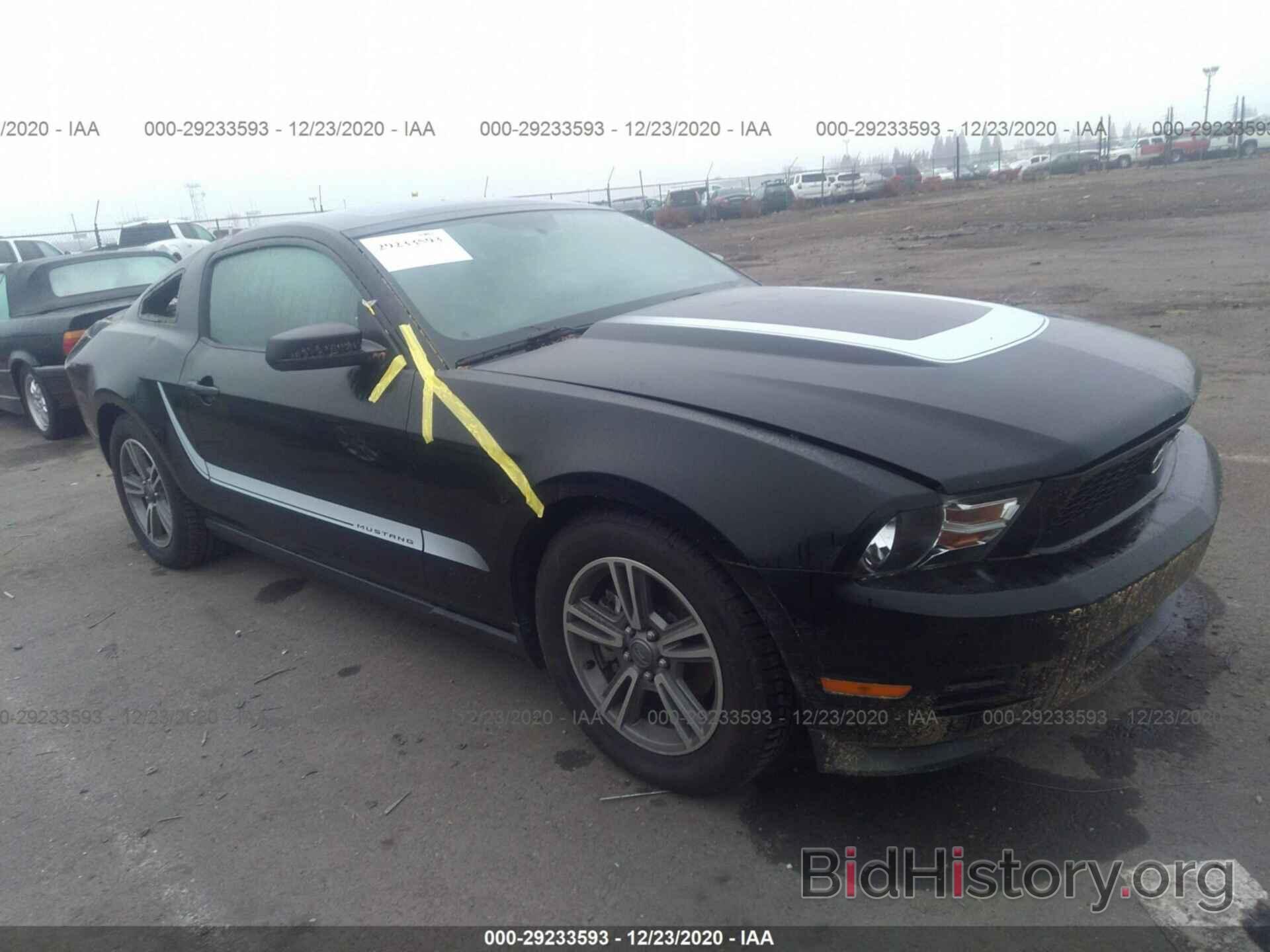 Фотография 1ZVBP8AM4B5157716 - FORD MUSTANG 2011