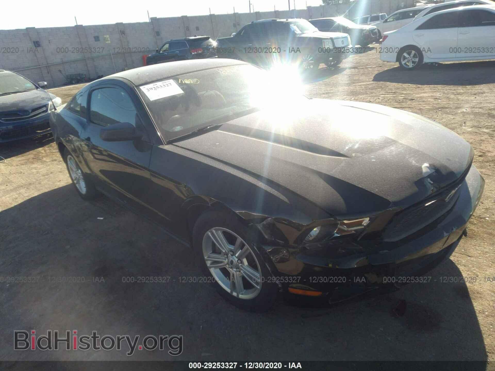 Photo 1ZVBP8AM0B5126009 - FORD MUSTANG 2011