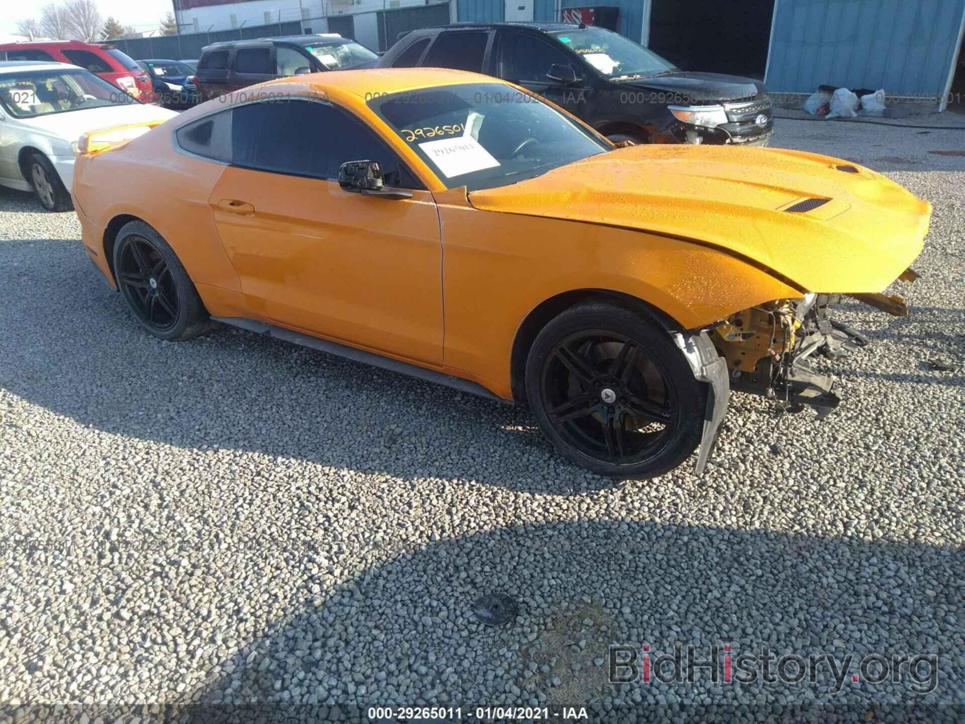 Photo 1FA6P8TH7K5157560 - FORD MUSTANG 2019