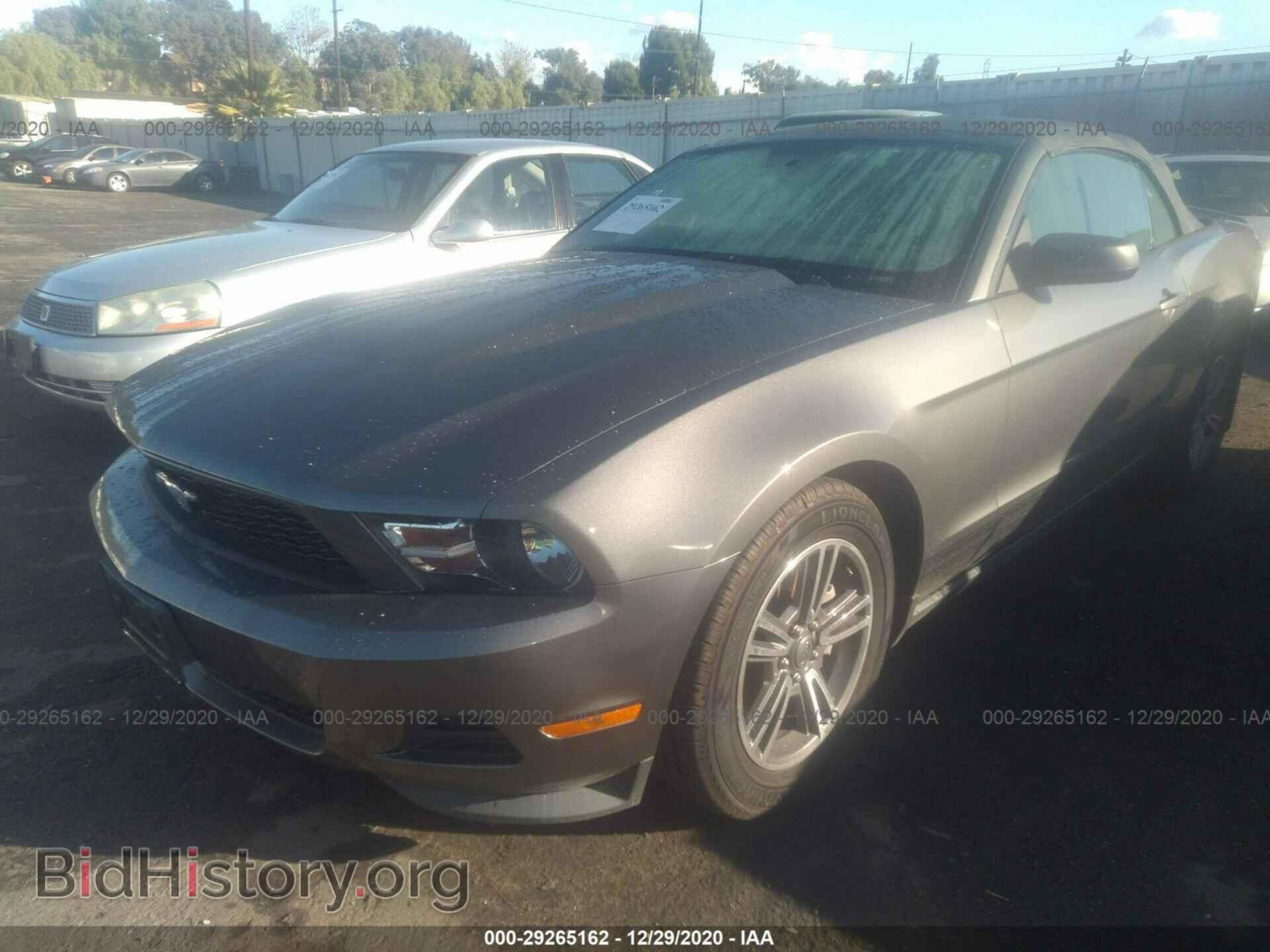 2011 FORD MUSTANG - VIN: 1ZVBP8EM7B5131833 - Фото 2