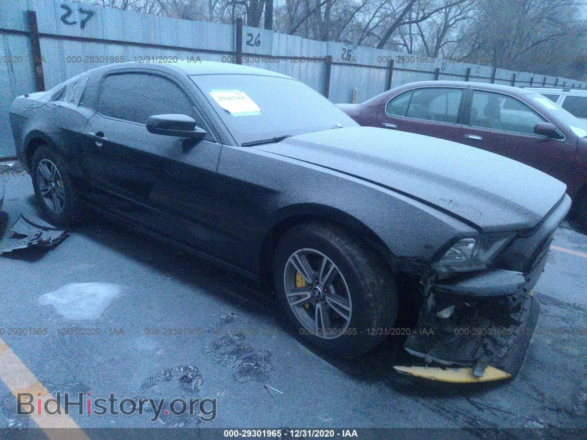 Photo 1ZVBP8AM1D5232505 - FORD MUSTANG 2013