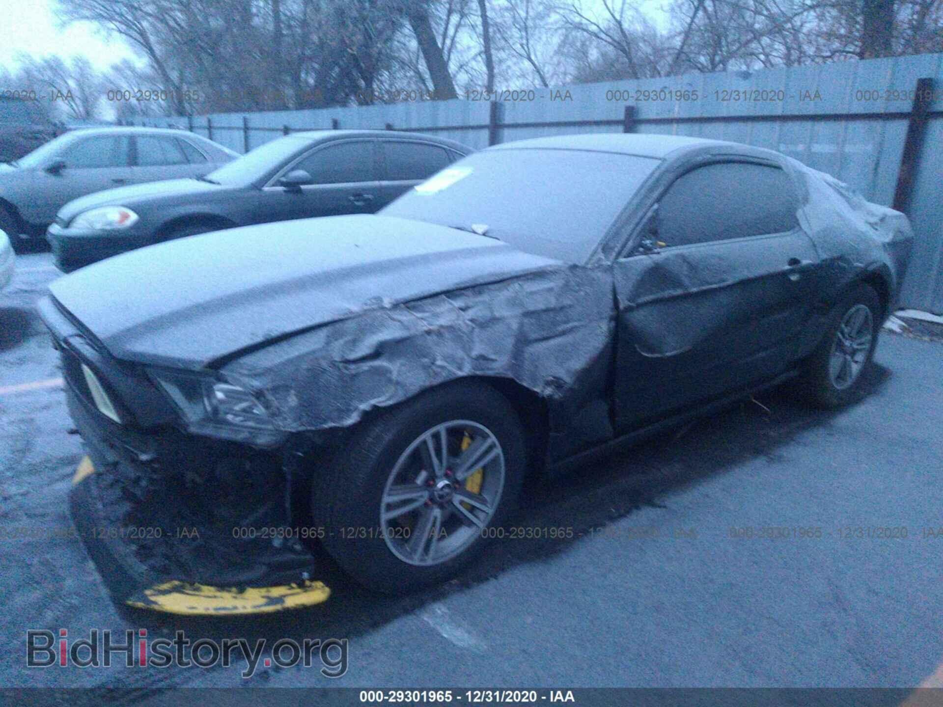 2013 FORD MUSTANG - VIN: 1ZVBP8AM1D5232505 - Фото 2
