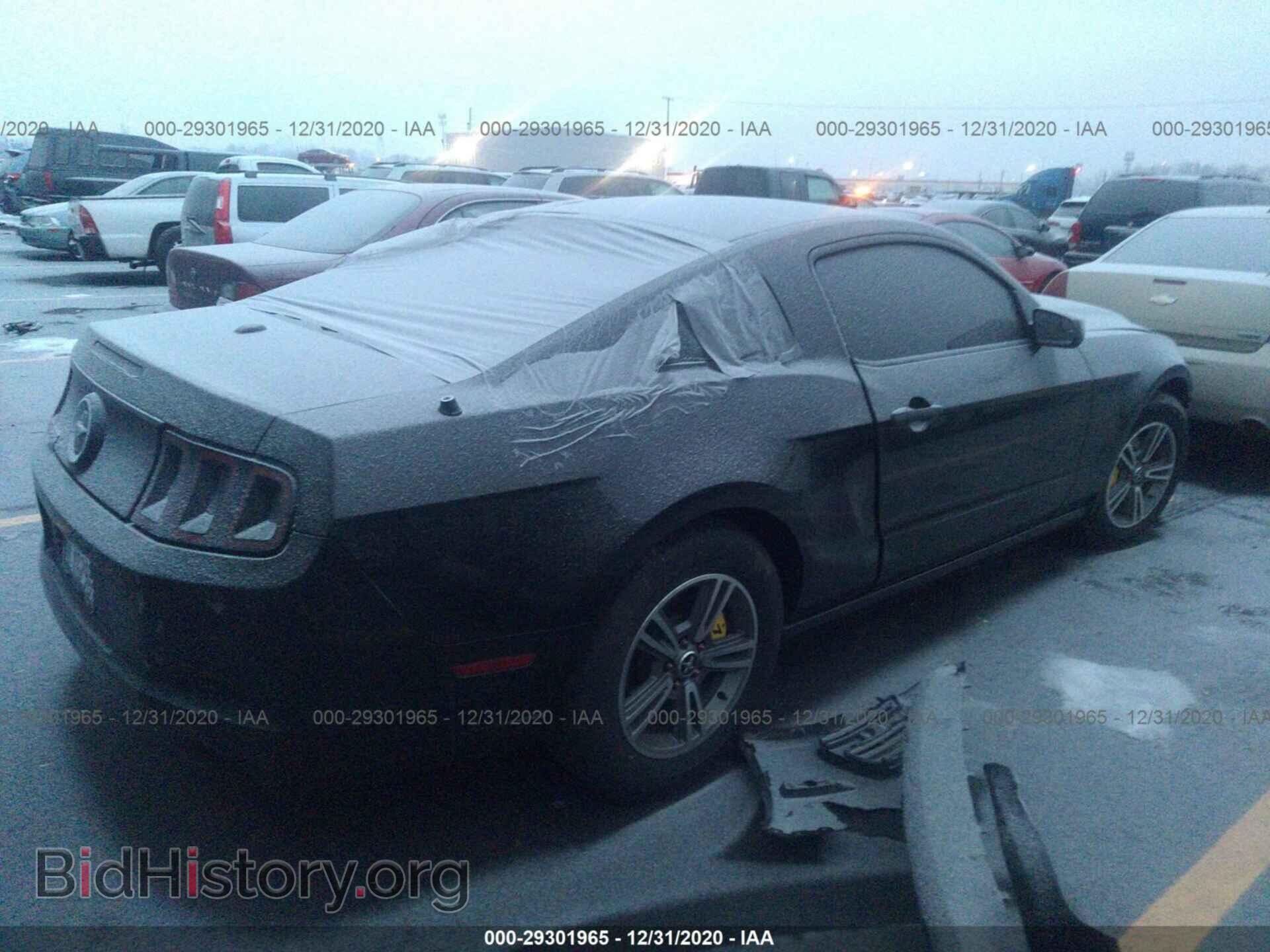 2013 FORD MUSTANG - VIN: 1ZVBP8AM1D5232505 - Фото 4