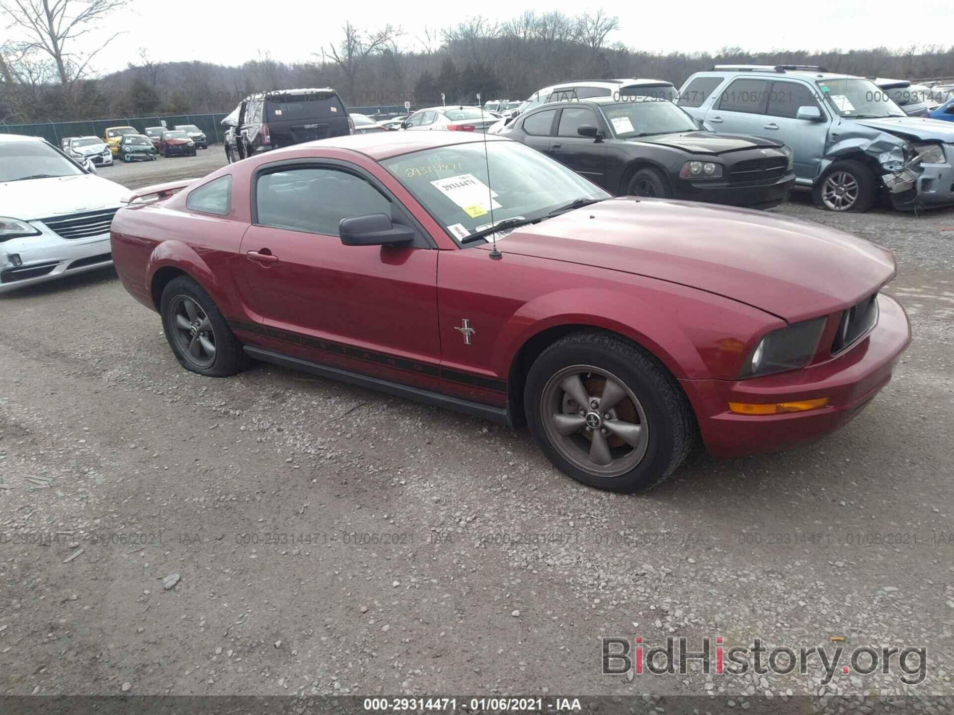 Photo 1ZVFT80N765228646 - FORD MUSTANG 2006