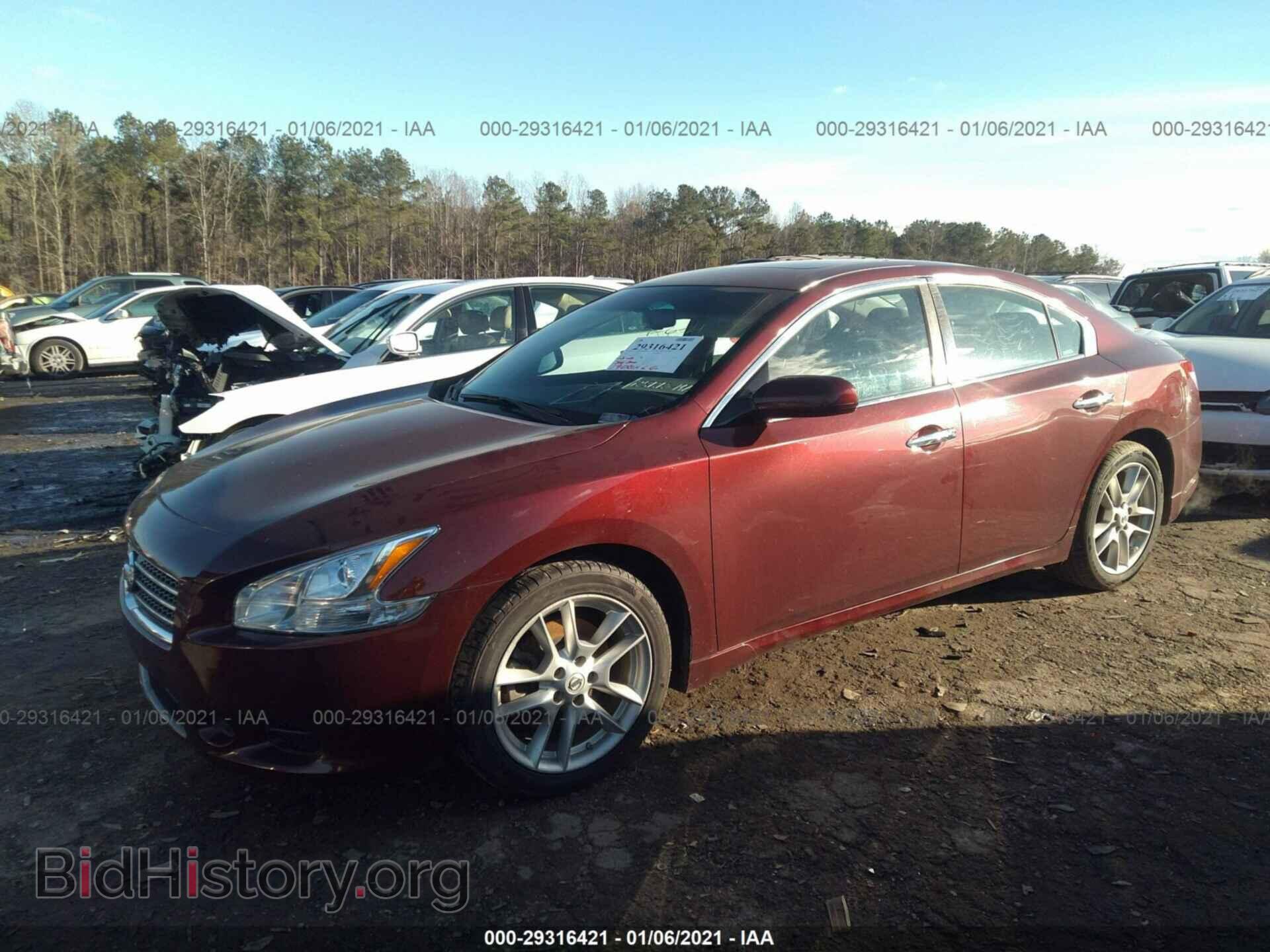 2011 NISSAN MAXIMA - VIN: 1N4AA5AP6BC816017 - Фото 2