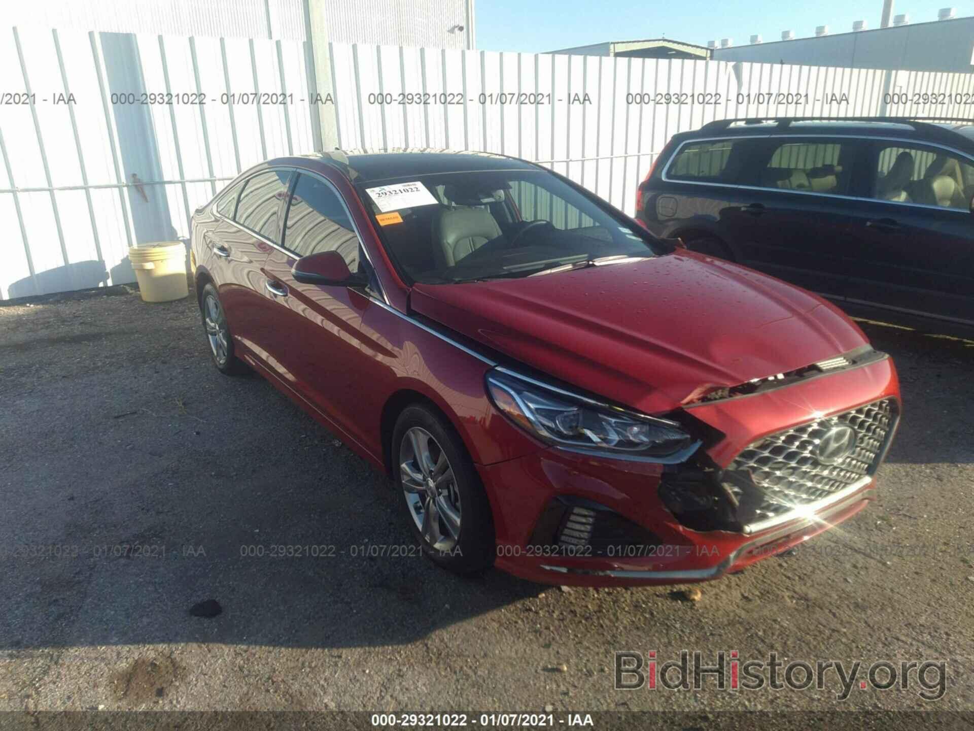 Photo 5NPE34AF5KH754556 - HYUNDAI SONATA 2019