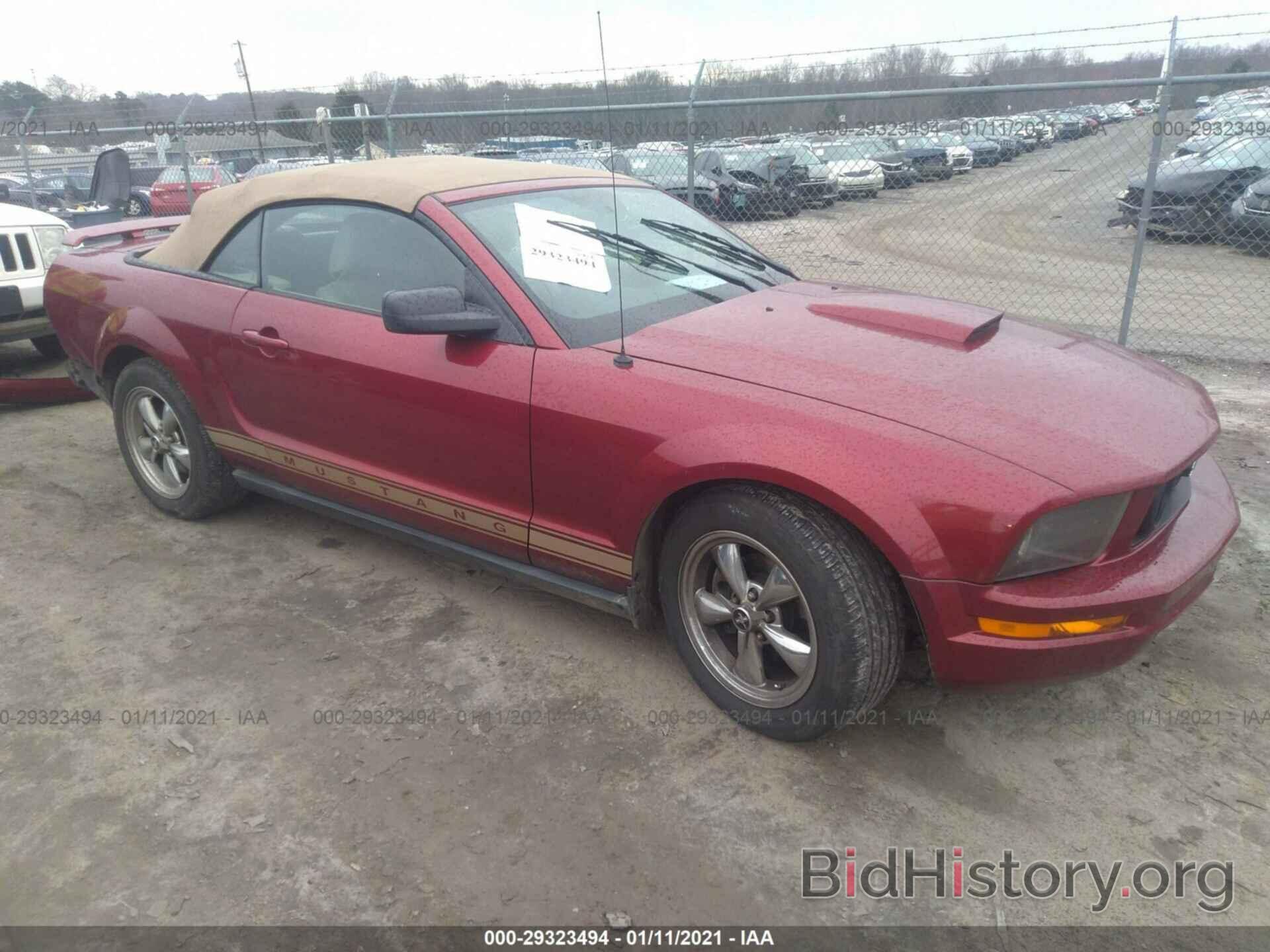 Photo 1ZVFT84N065262499 - FORD MUSTANG 2006