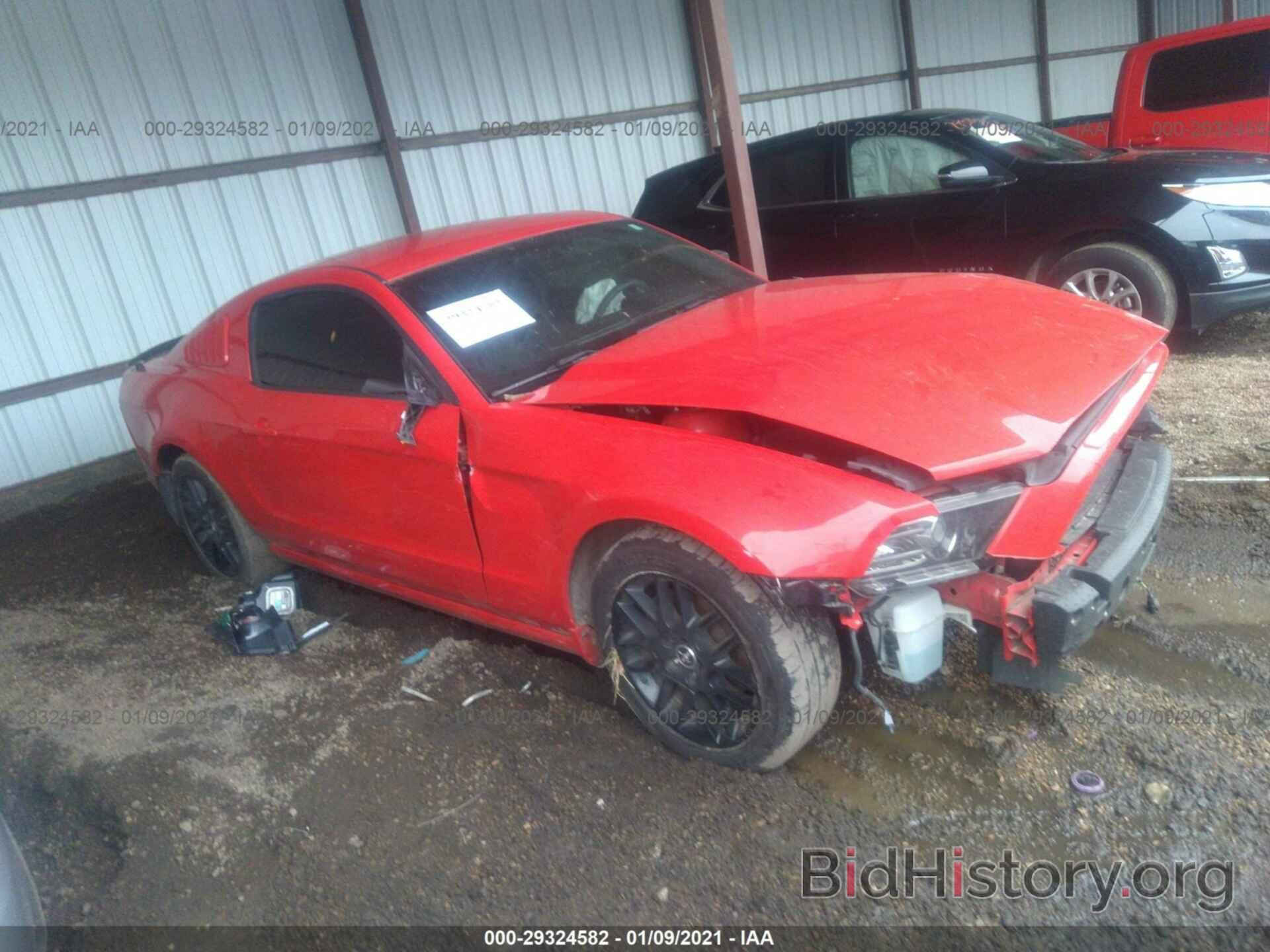 Photo 1ZVBP8AM4E5315234 - FORD MUSTANG 2014