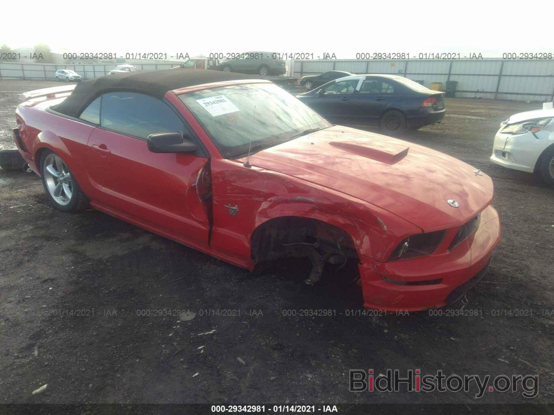 Фотография 1ZVHT85HX95120490 - FORD MUSTANG 2009