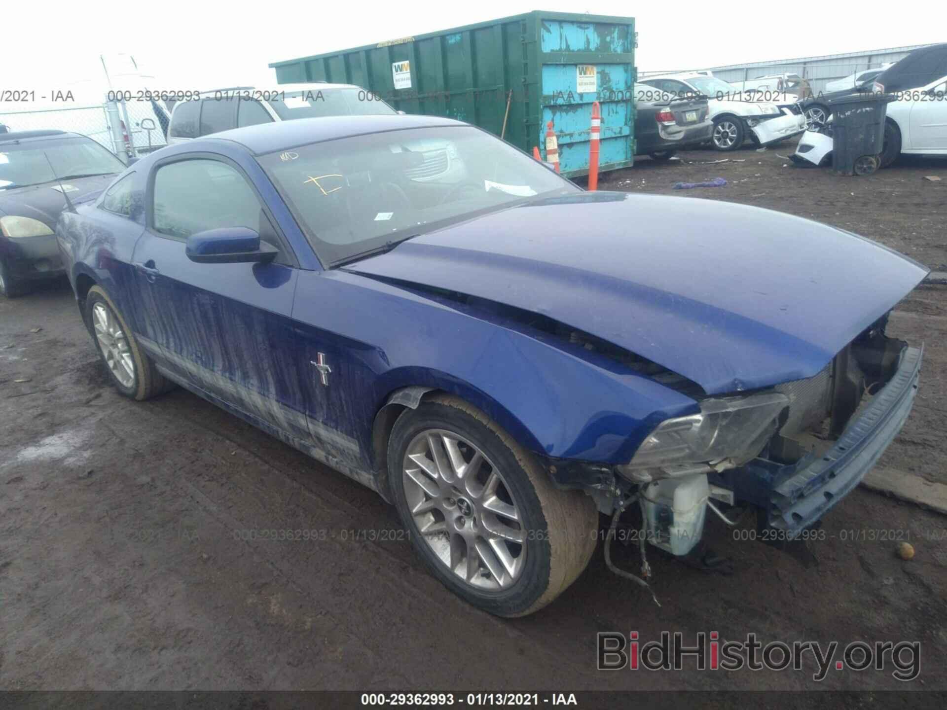 Photo 1ZVBP8AM5D5232183 - FORD MUSTANG 2013